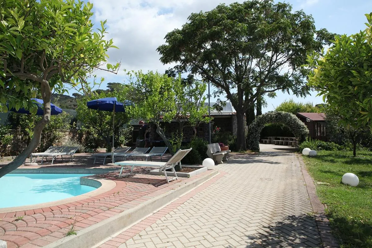 Swimming pool in Elba Vip