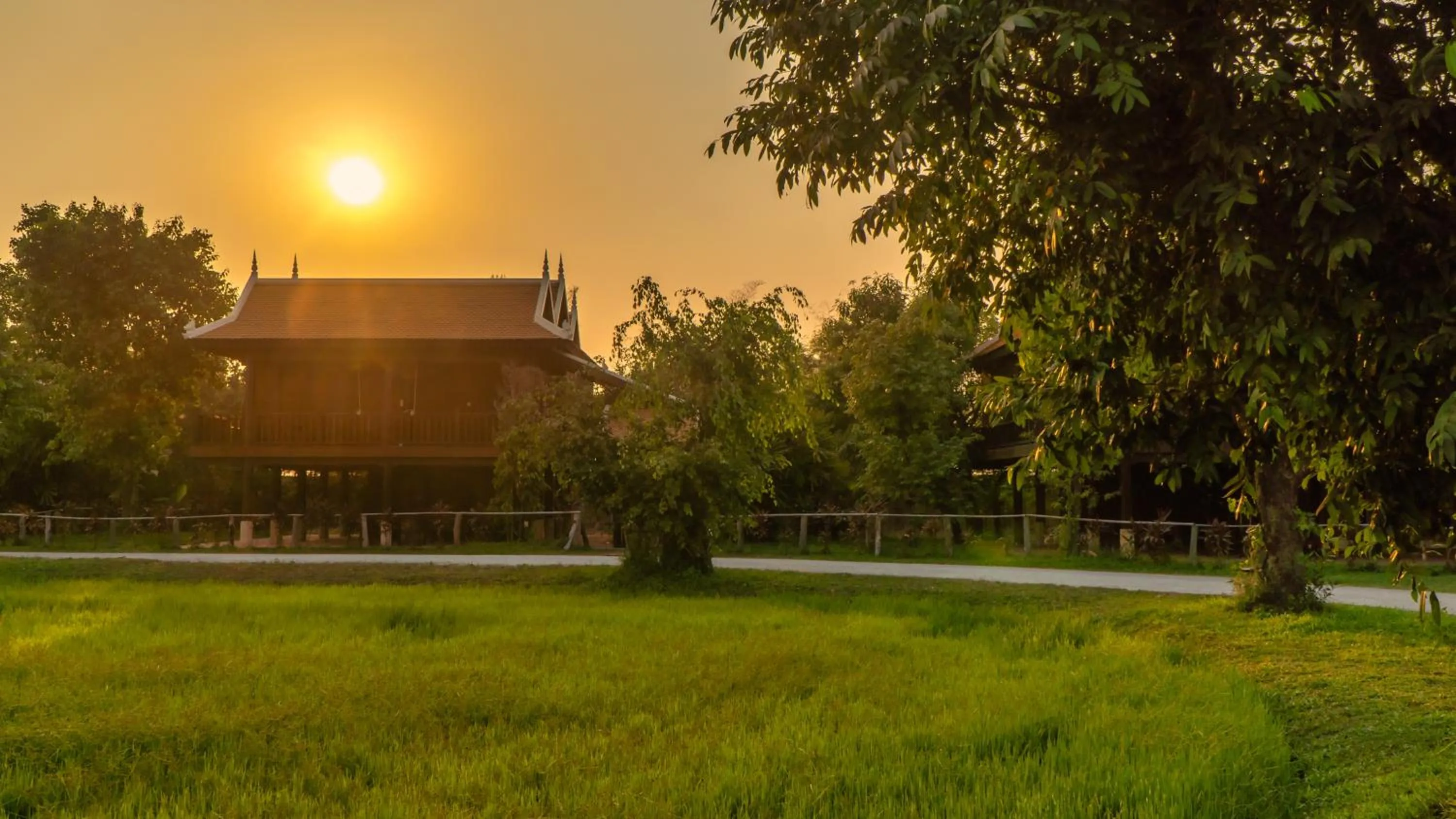 Day in Mane Hariharalaya