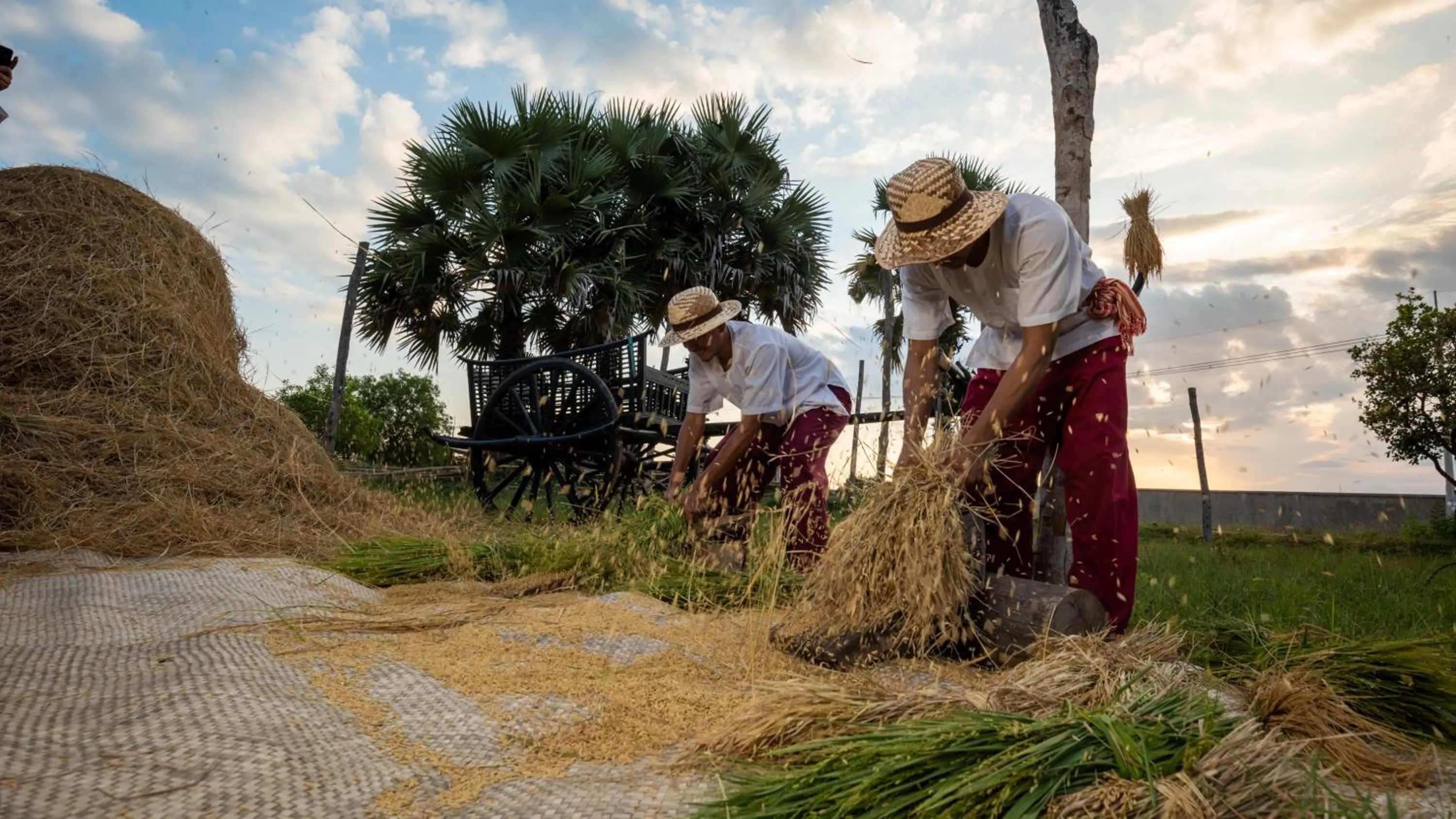 Entertainment in Mane Hariharalaya