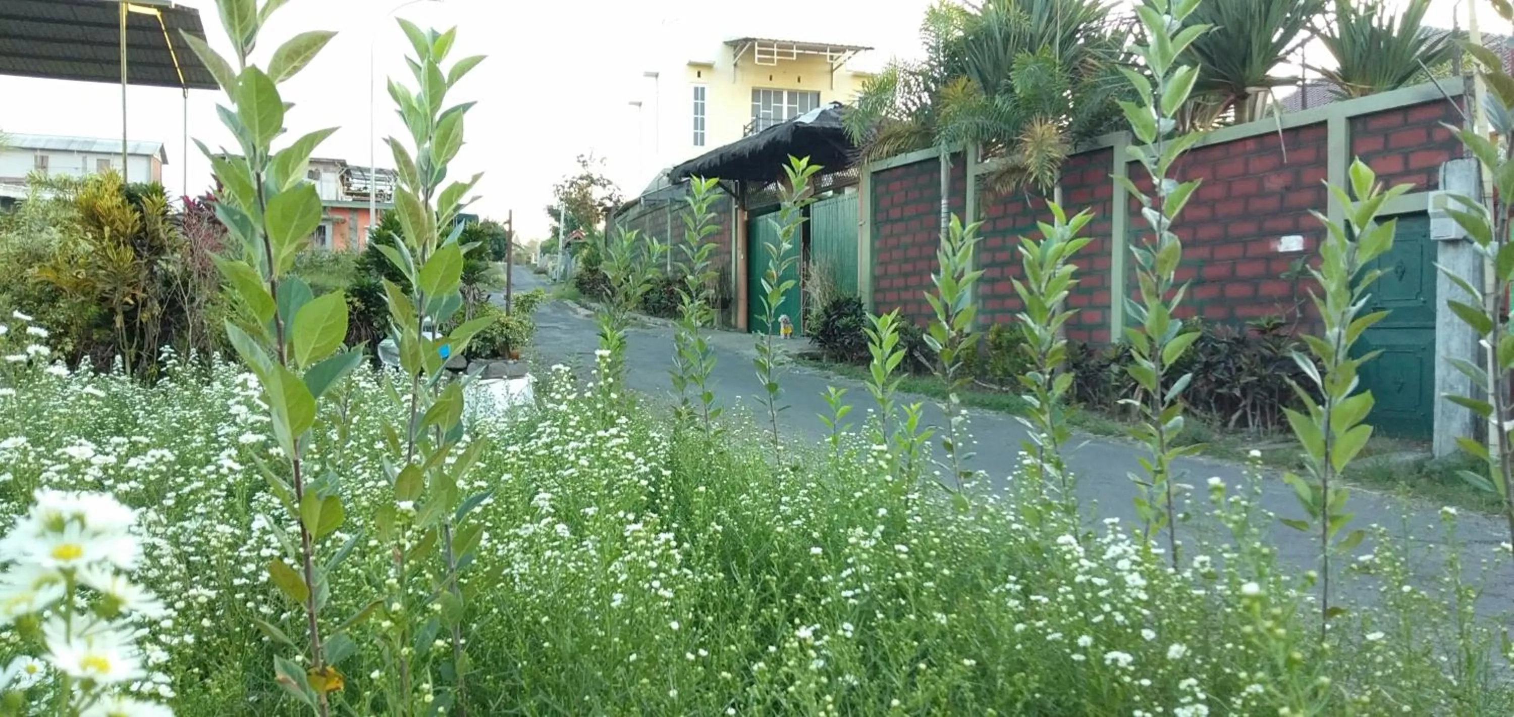 Facade/entrance in Bliss family cottage Batu
