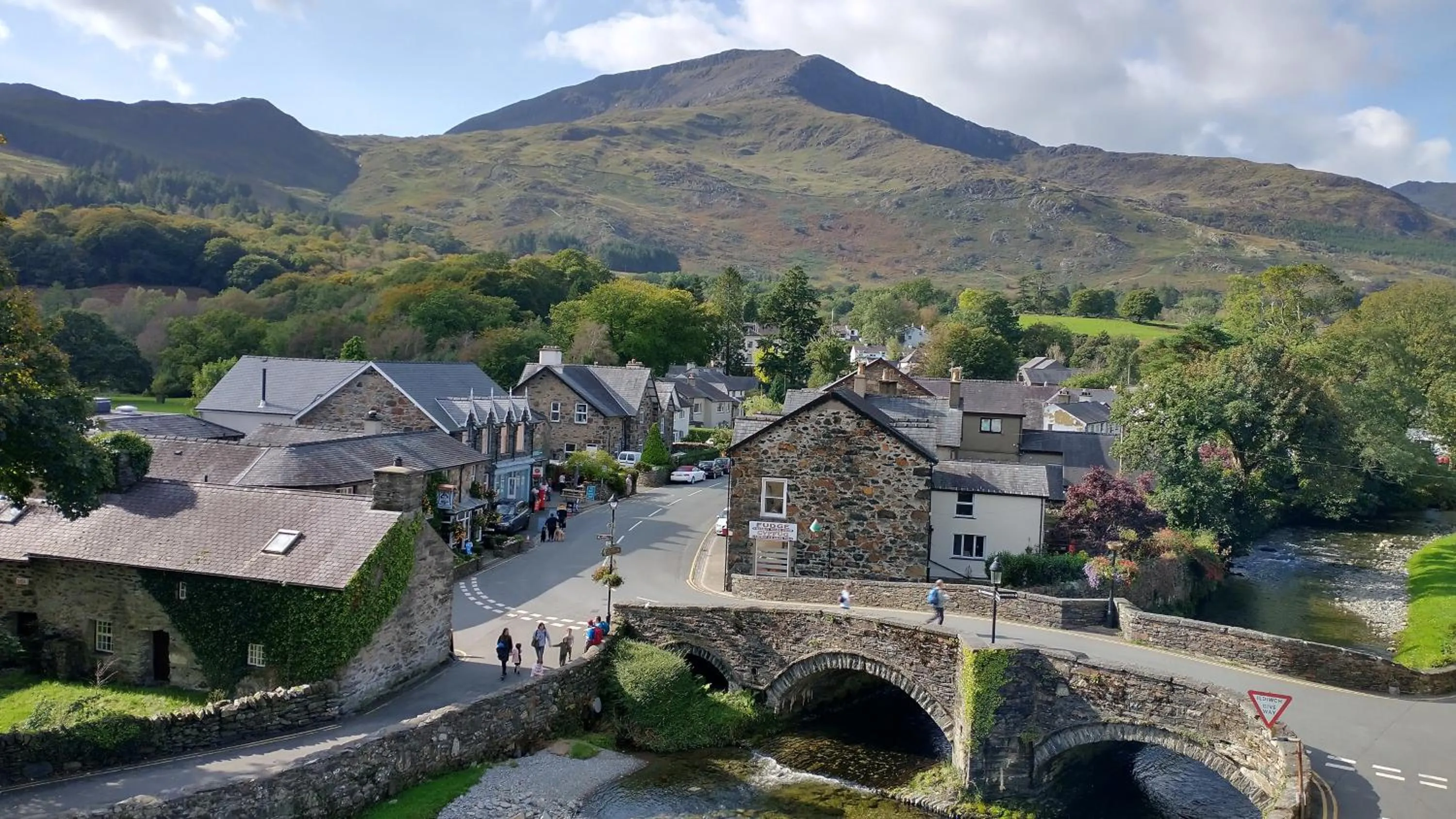 Natural landscape in Plas Tan y Graig B&B Guest House Beddgelert