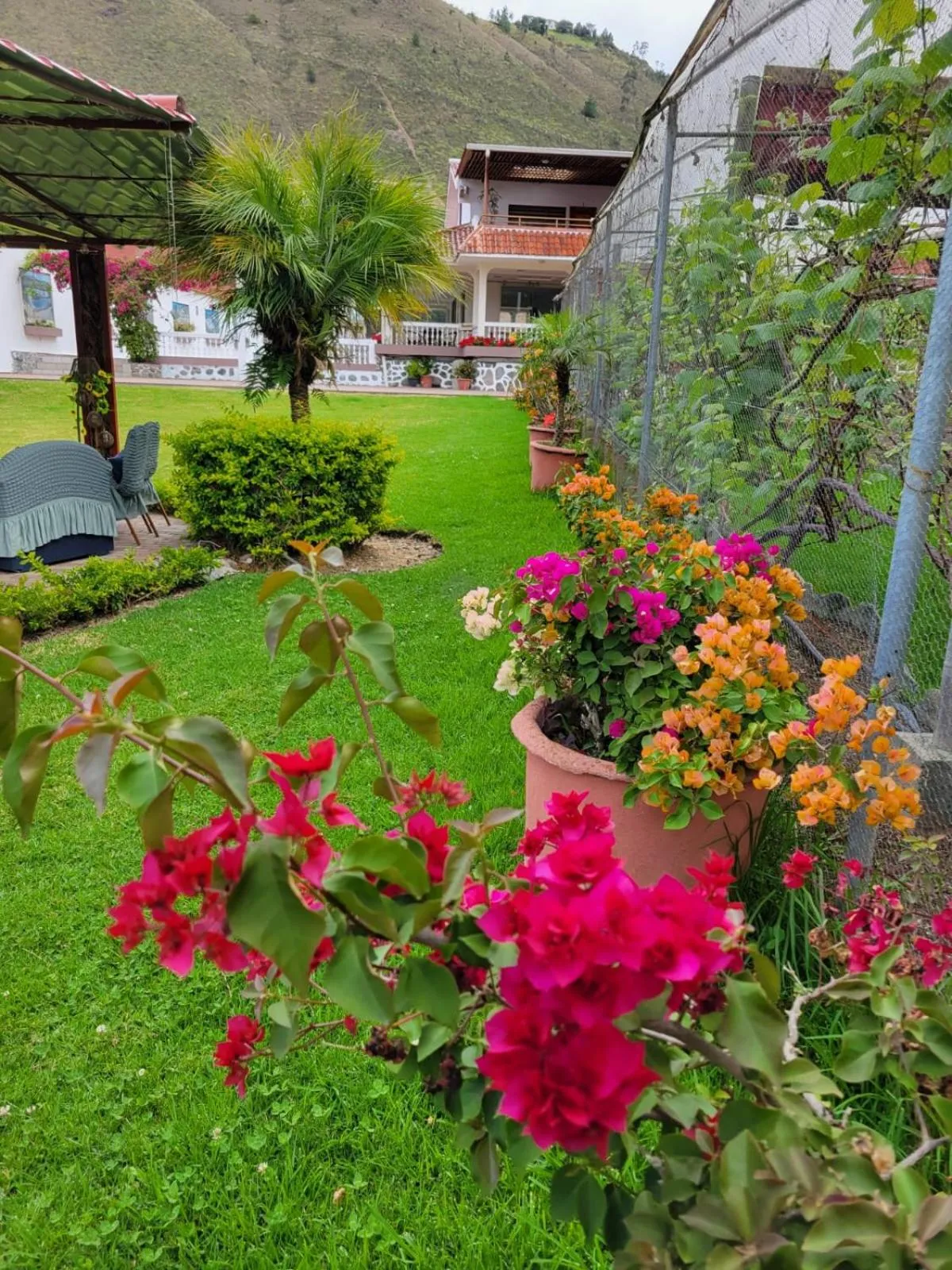 Garden in Hostería Estancia el Angel