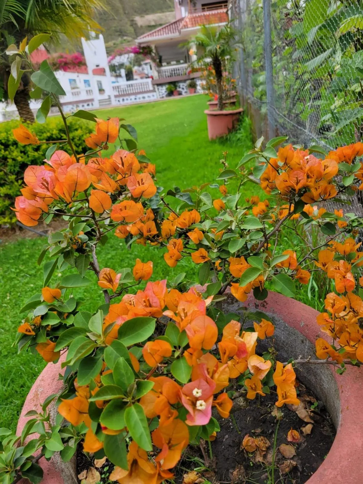 Garden in Hostería Estancia el Angel