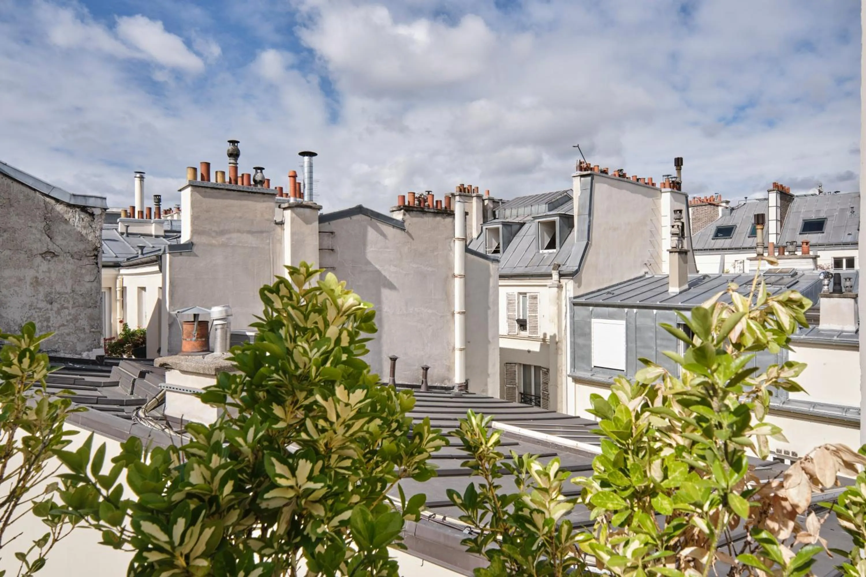 View (from property/room) in Posy Hotel by Happyculture