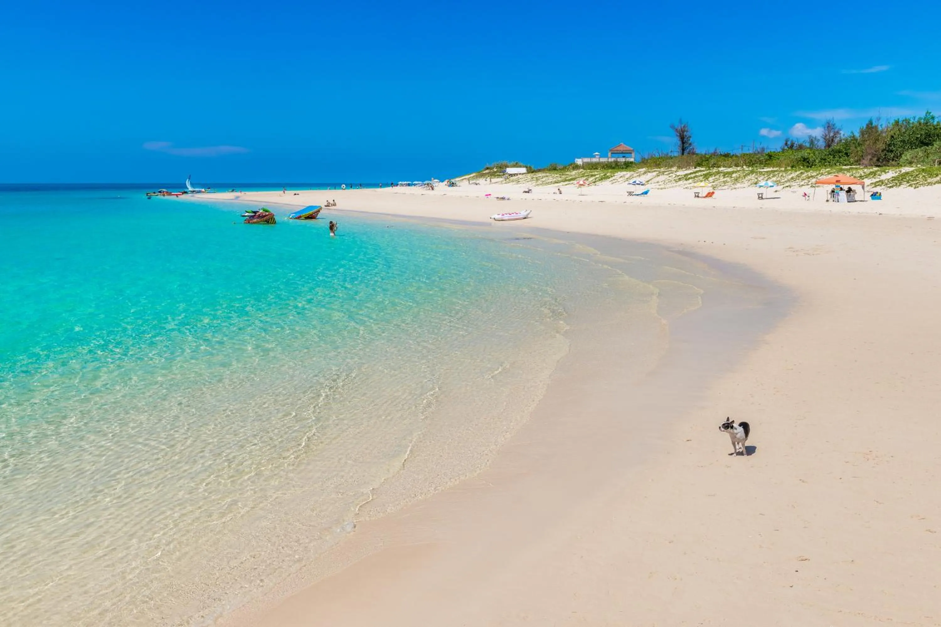 Natural landscape in Ecot Shimozato 1