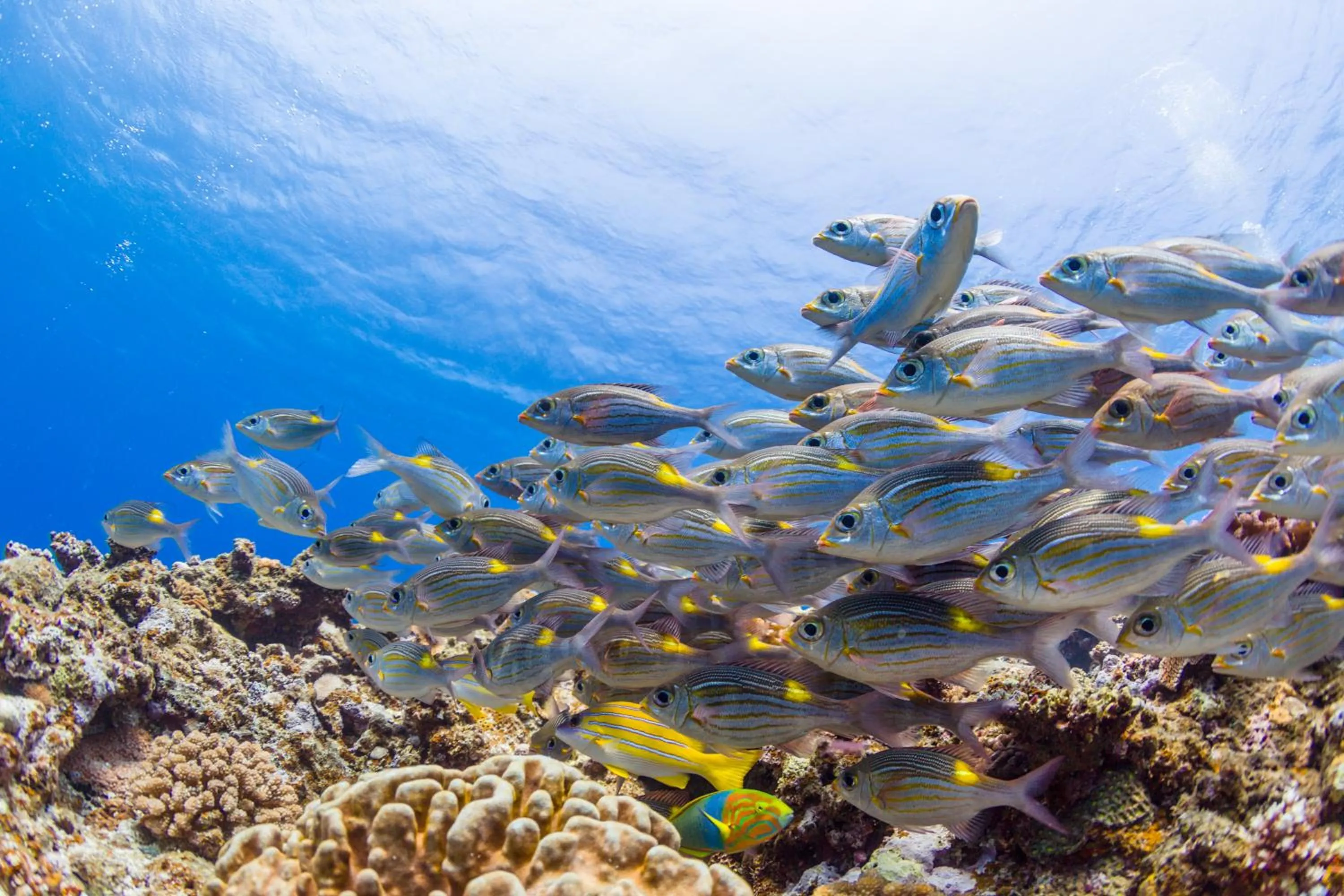 Neighbourhood in Ecot Shimozato 1