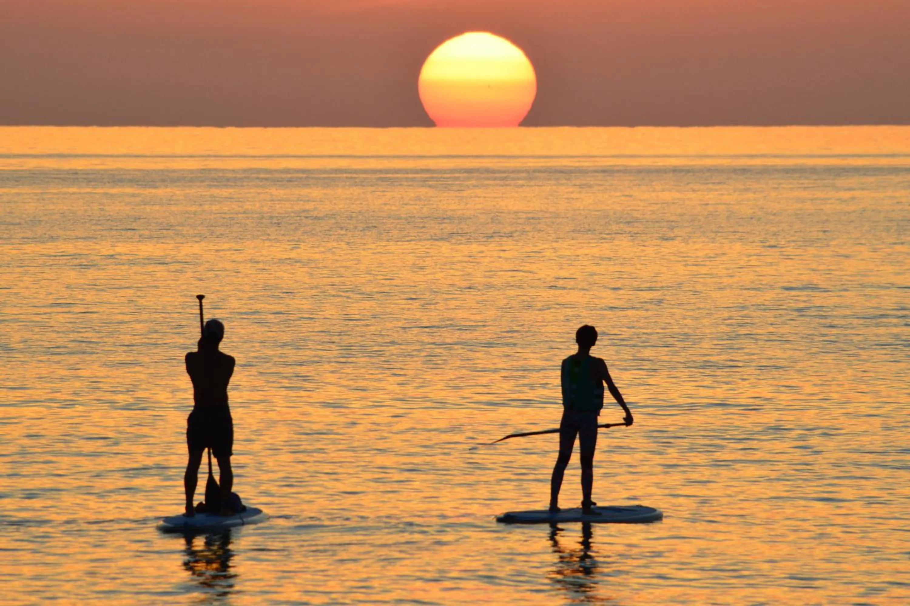 Activities in Ecot Shimozato 1