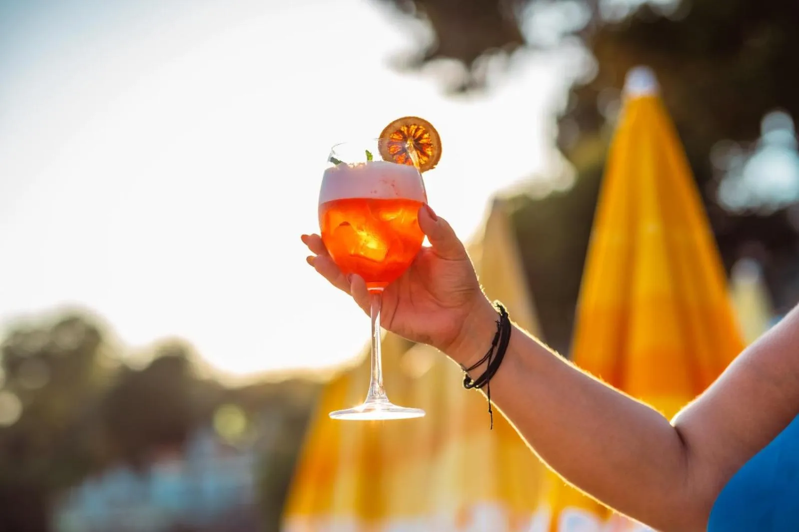 Restaurant/places to eat in Sardunya Otel ARKA BİNA