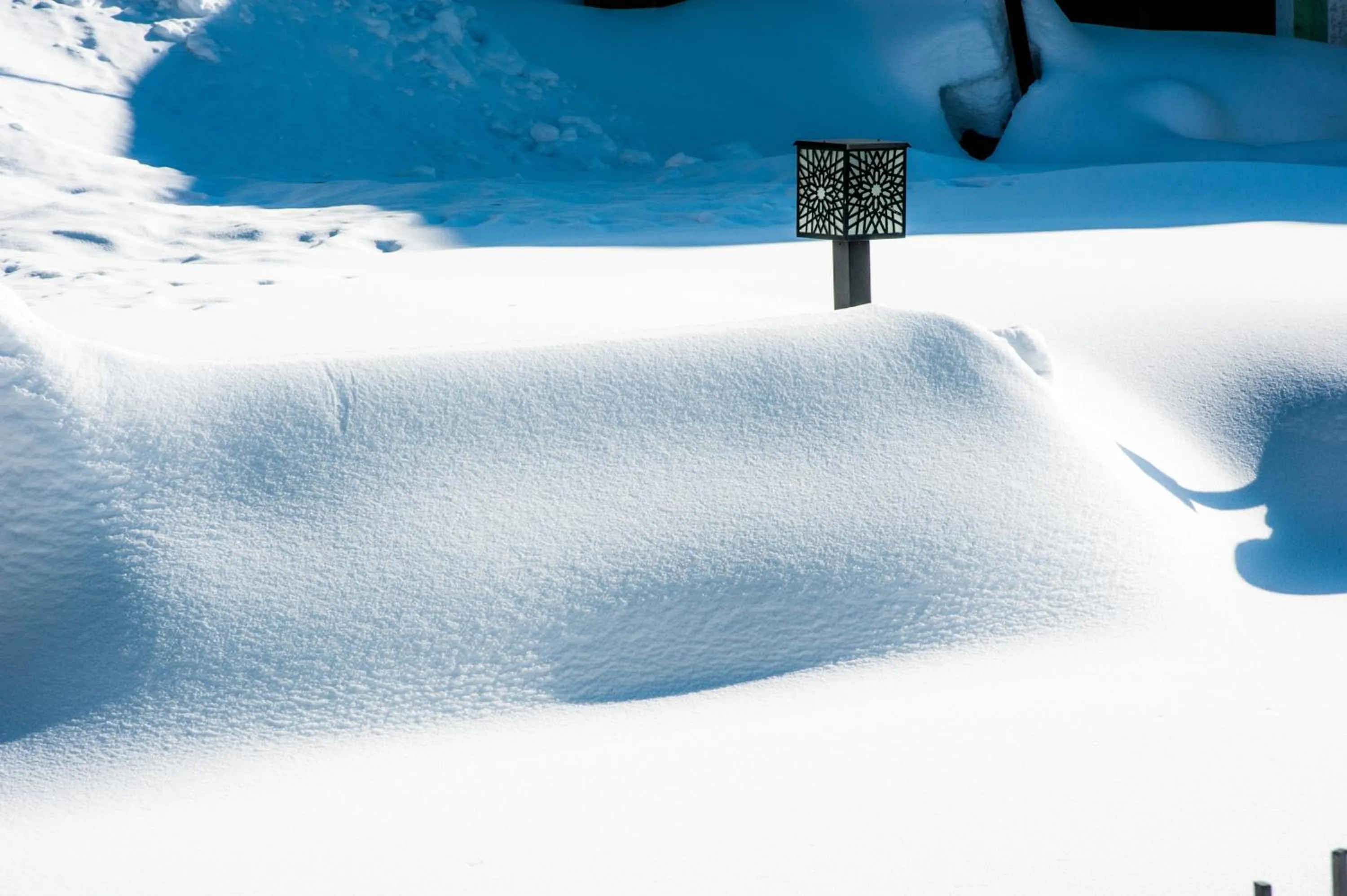 Day in The Vintage Gulmarg