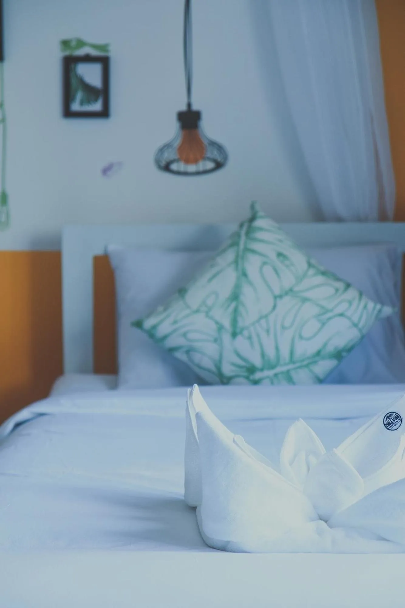 Bed in Chill Vibe Hostel