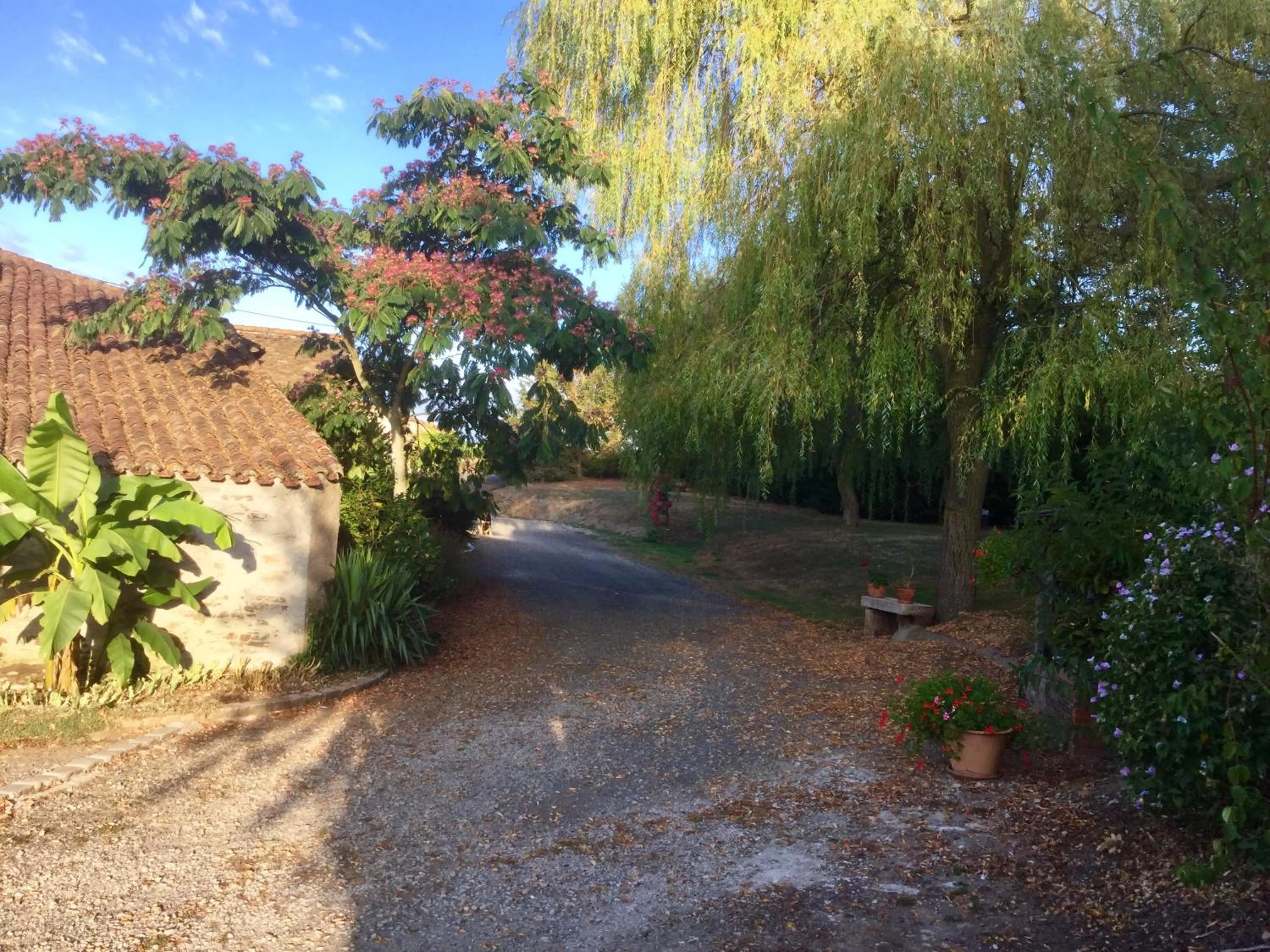 Natural landscape in Chambre d’hôtes à Vallet