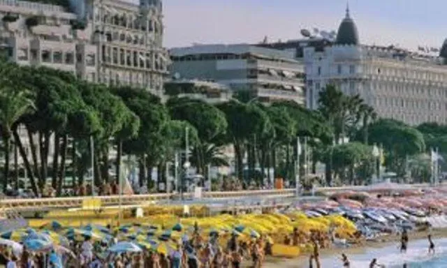 Area and facilities in Little Palace