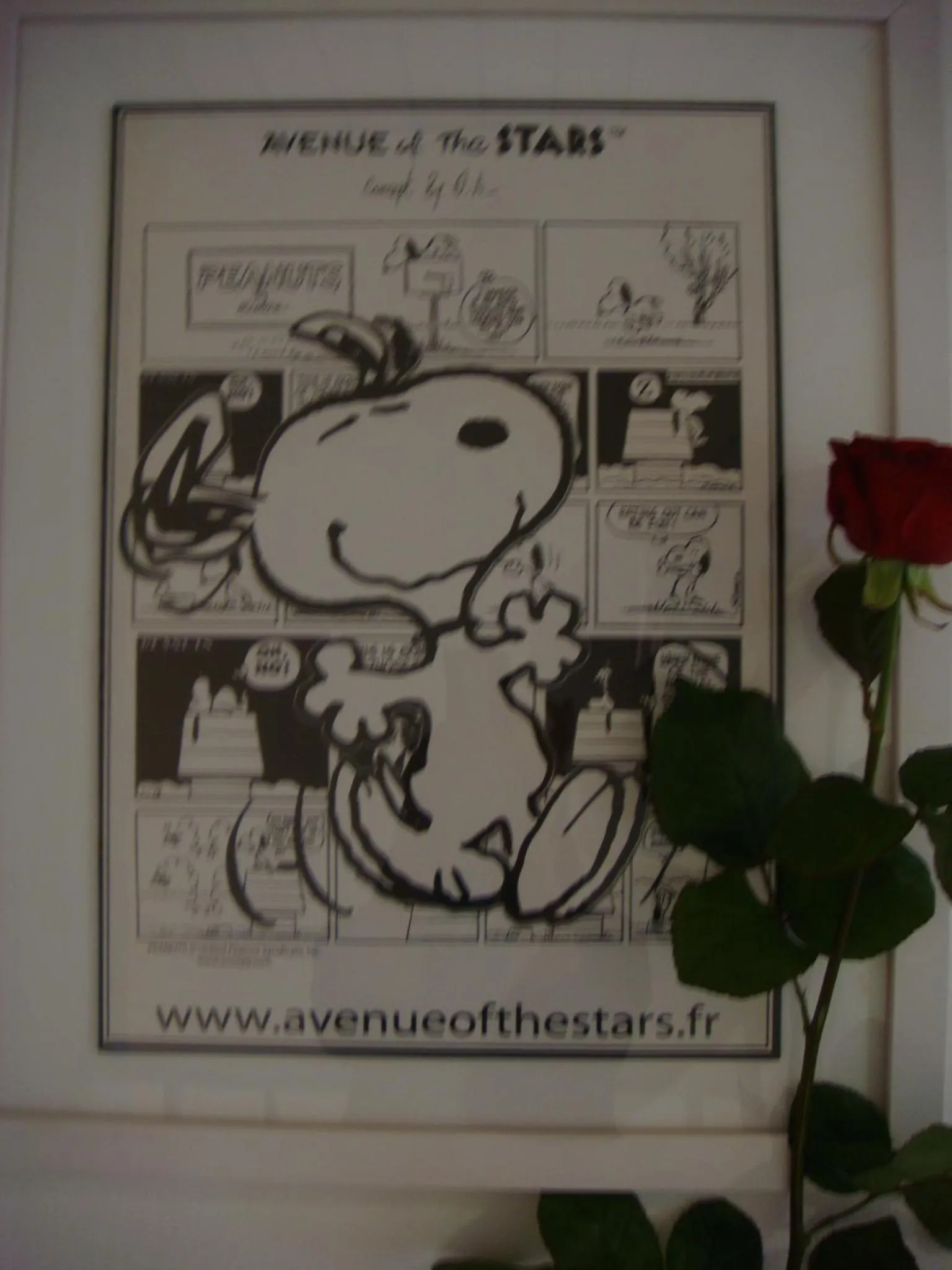 Other in Little Palace