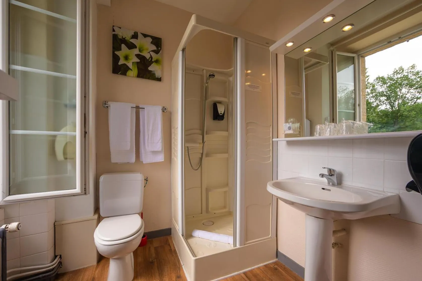 Shower in Logis- Auberge De Kerveoc'h