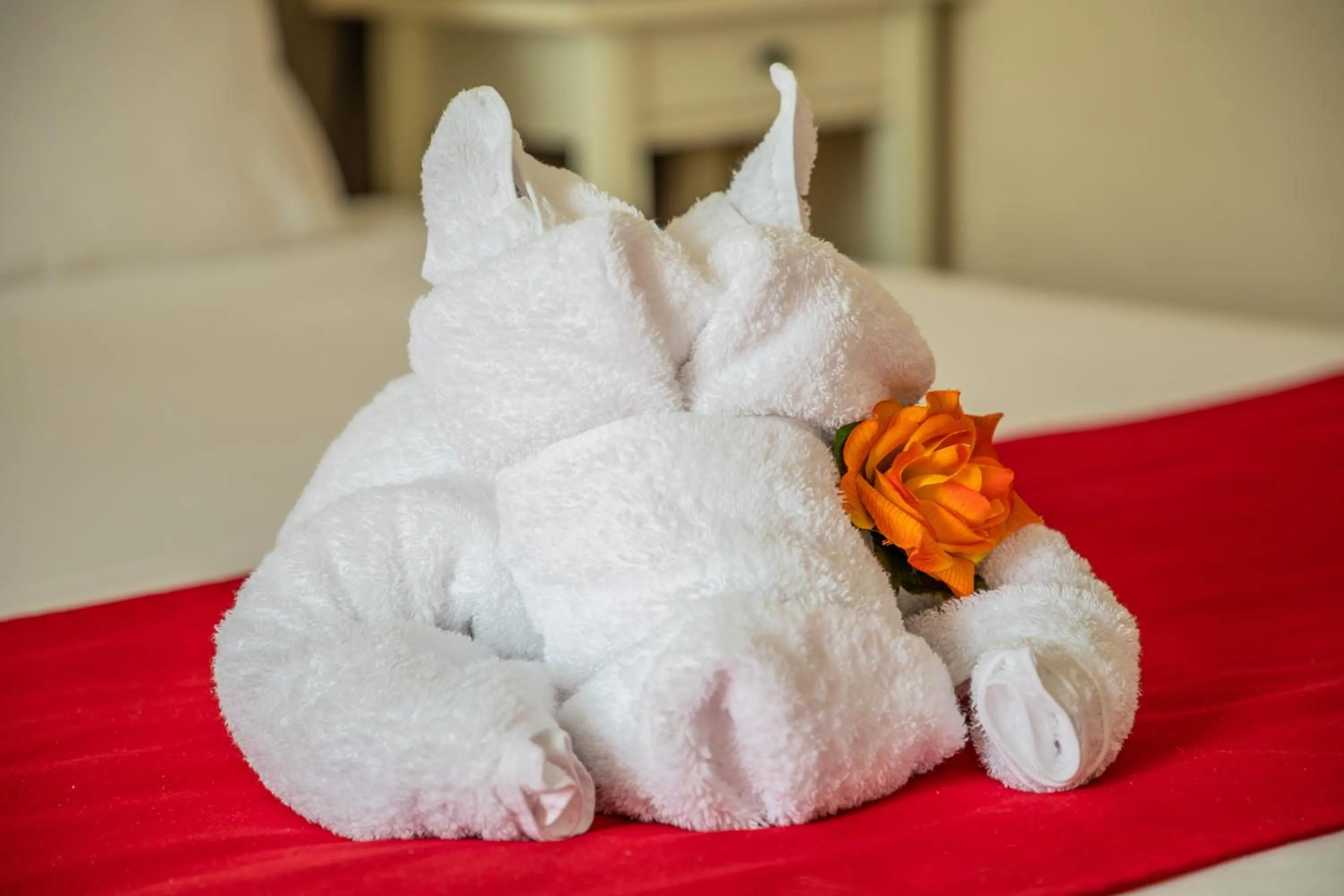 Bed in Logis- Auberge De Kerveoc'h