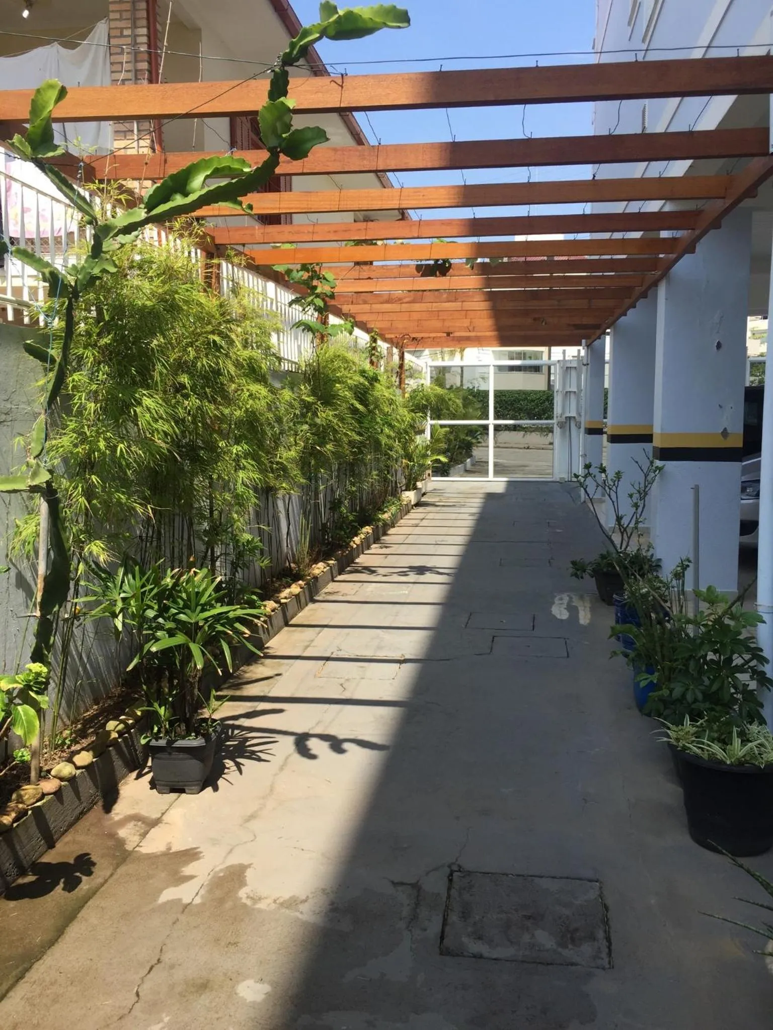 Garden in Kasato Maru Residence