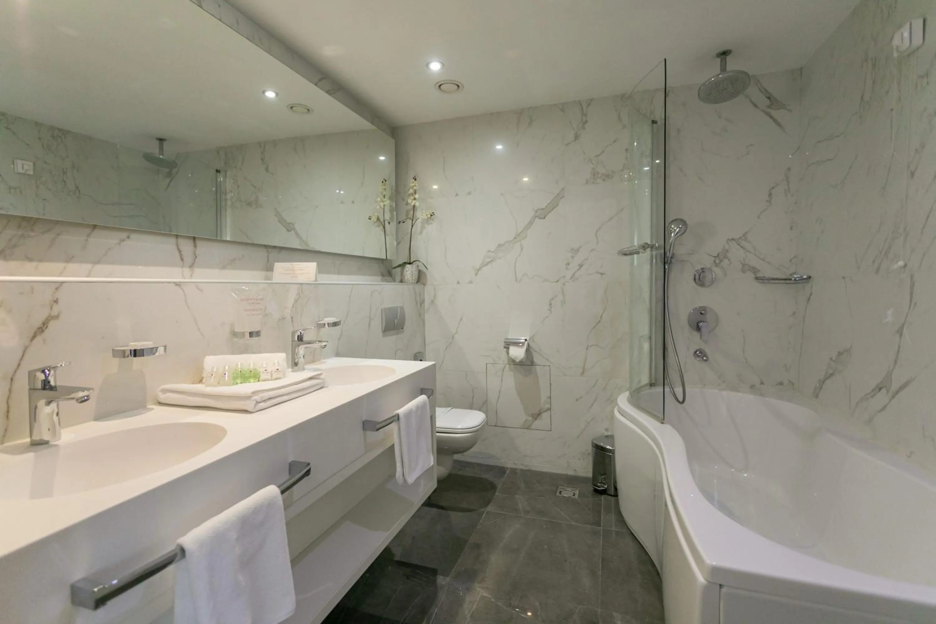 Bathroom in Hotel Aurel