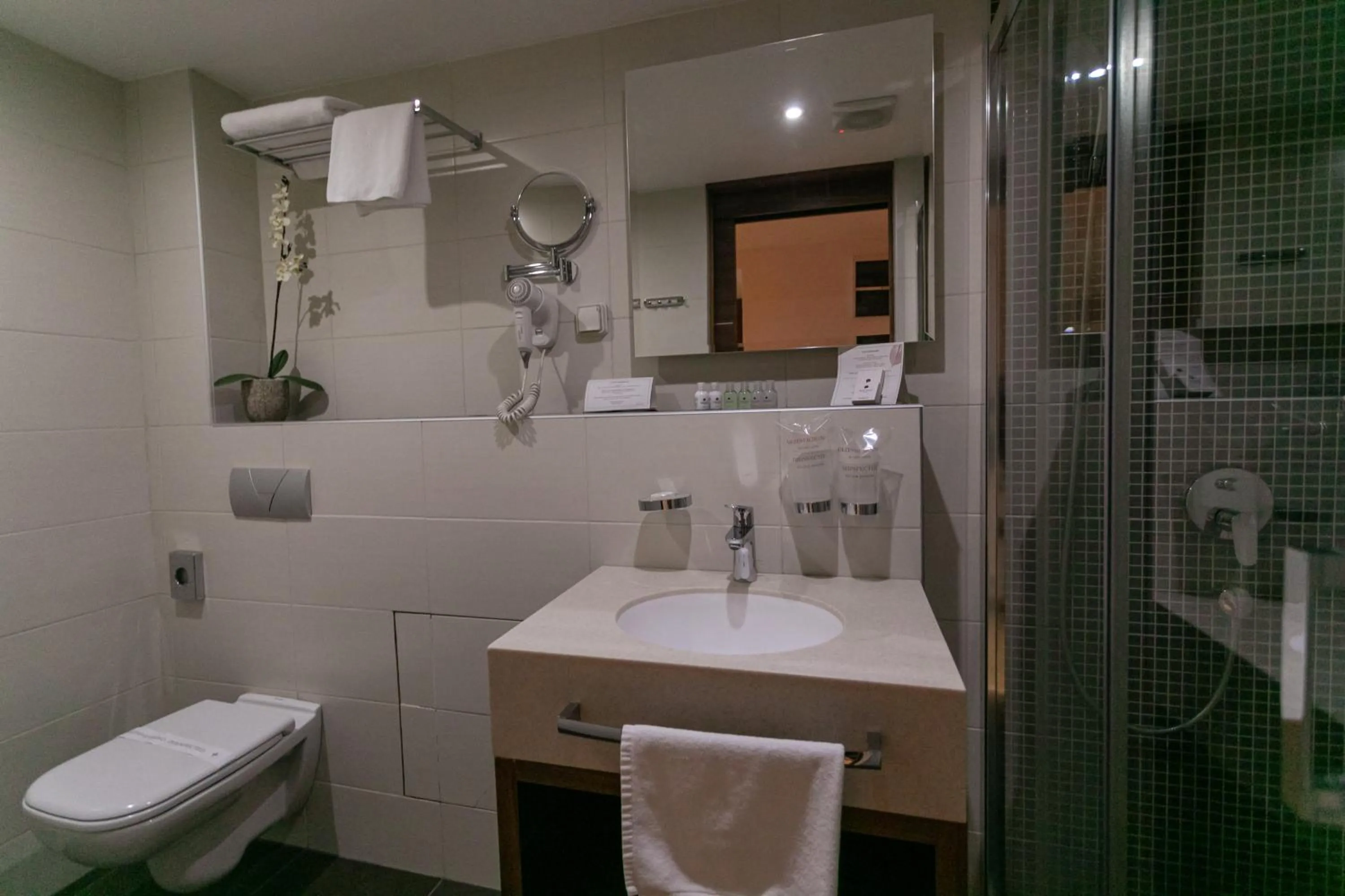 Bathroom in Hotel Aurel