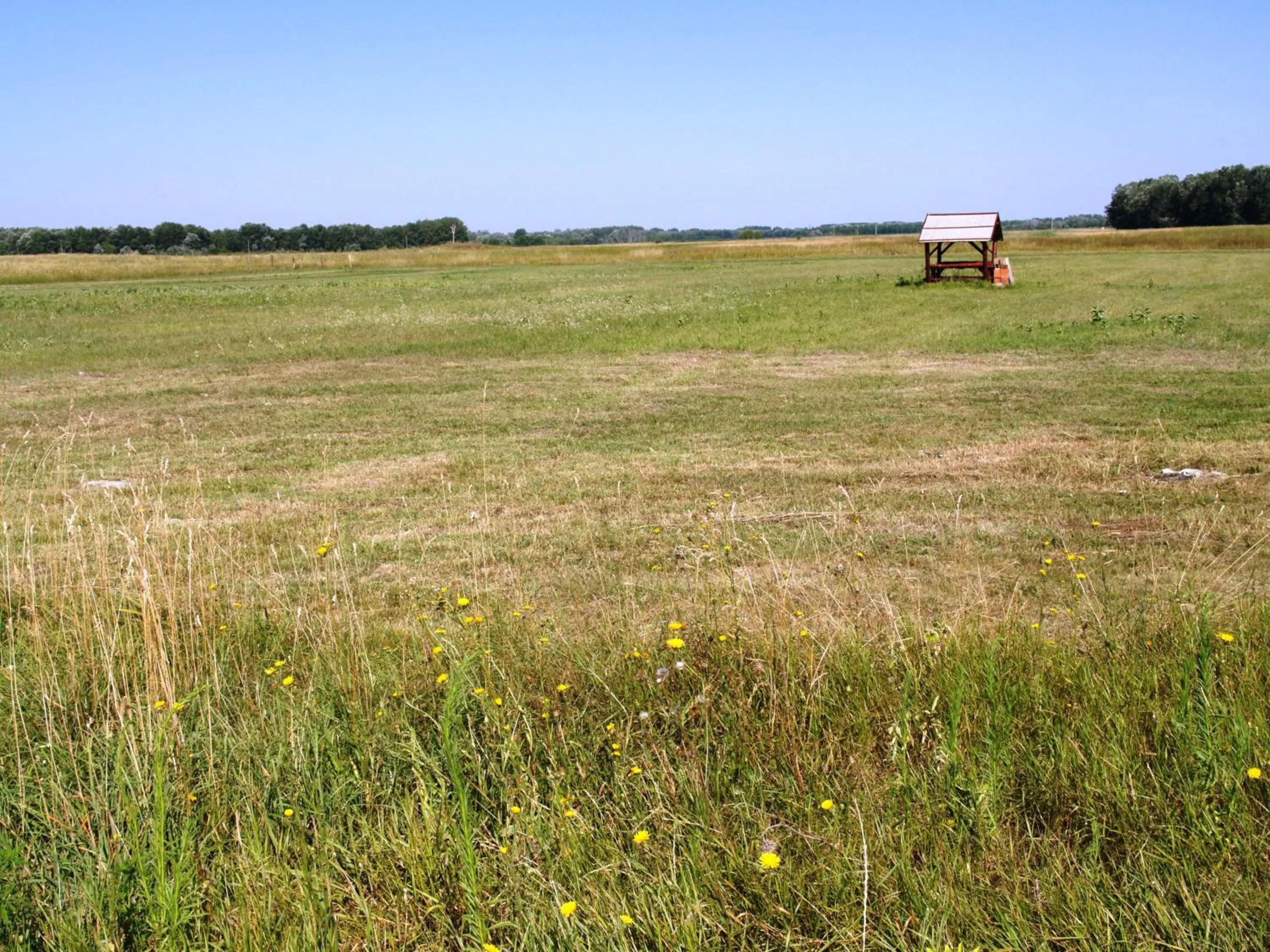 Natural landscape in Csodarét Kúria