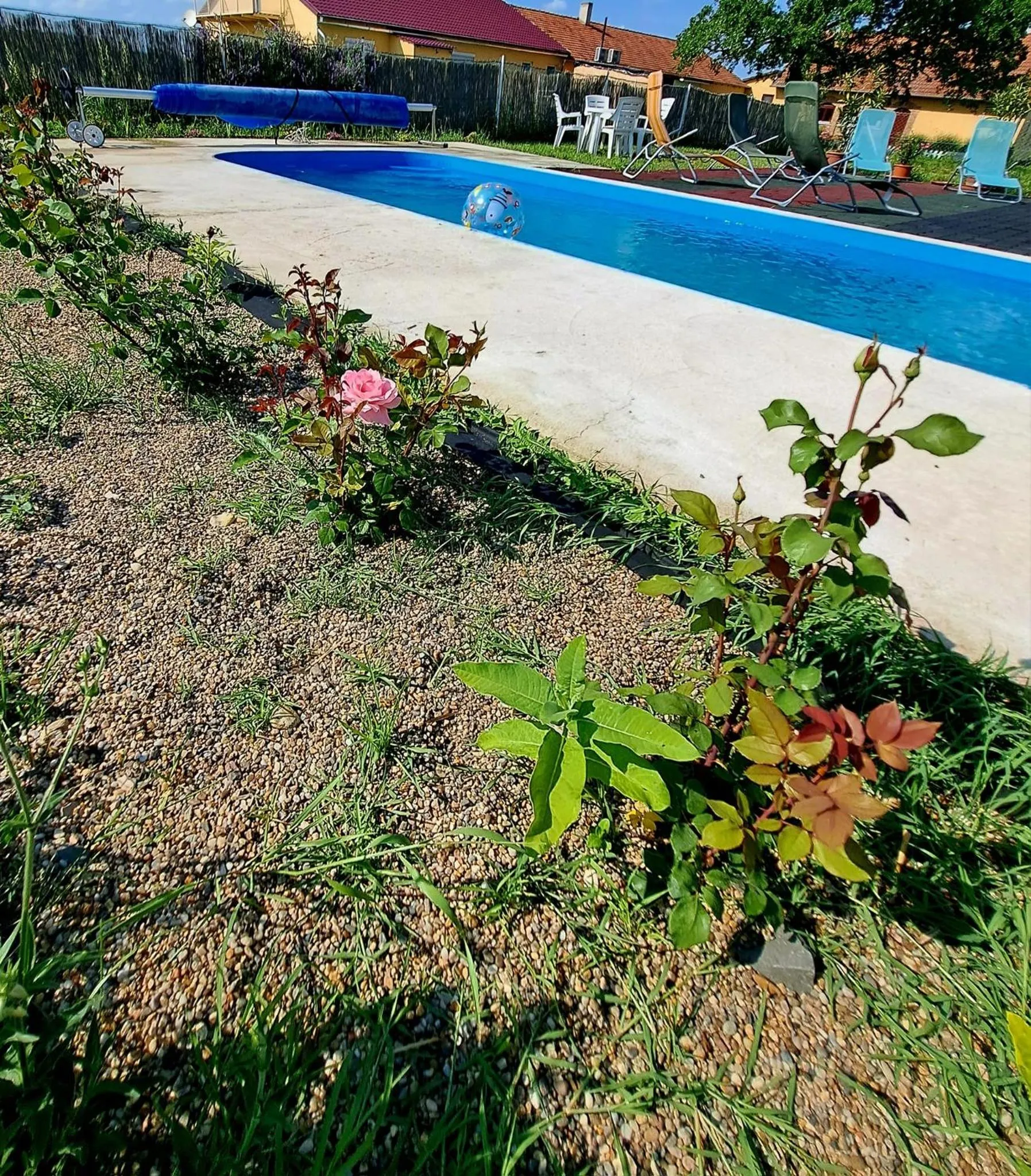 Swimming pool in Csodarét Kúria