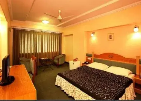 Executive Double Room - single occupancy in Brijwasi Royal Executive Double Room - single occupancy in Brijwasi Royal