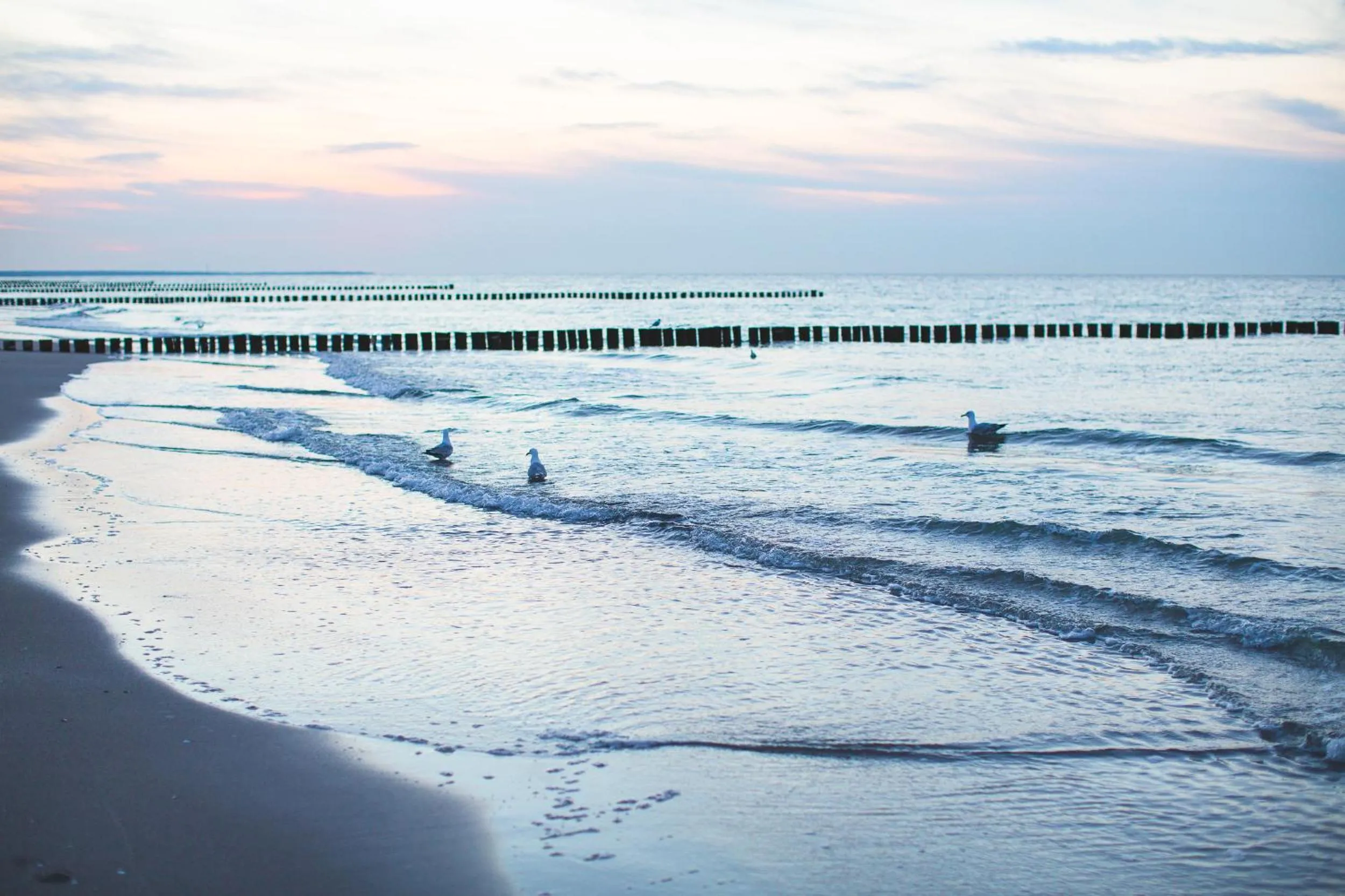Beach in Hotel Garni Am Deich Zingst
