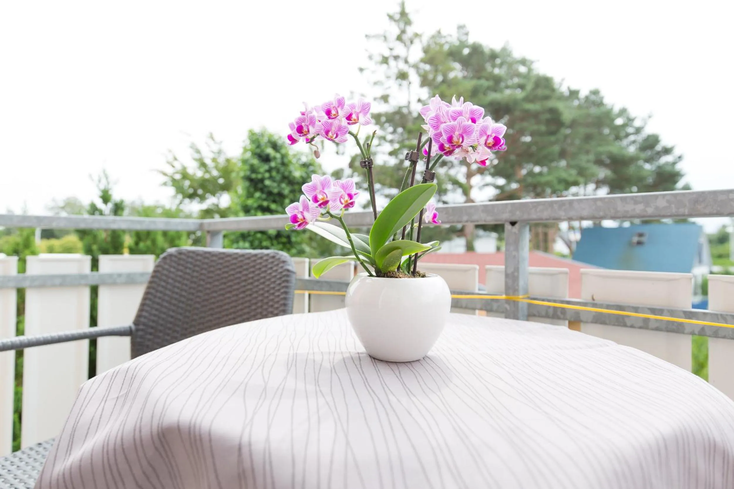 Balcony/Terrace in Hotel Garni Am Deich Zingst