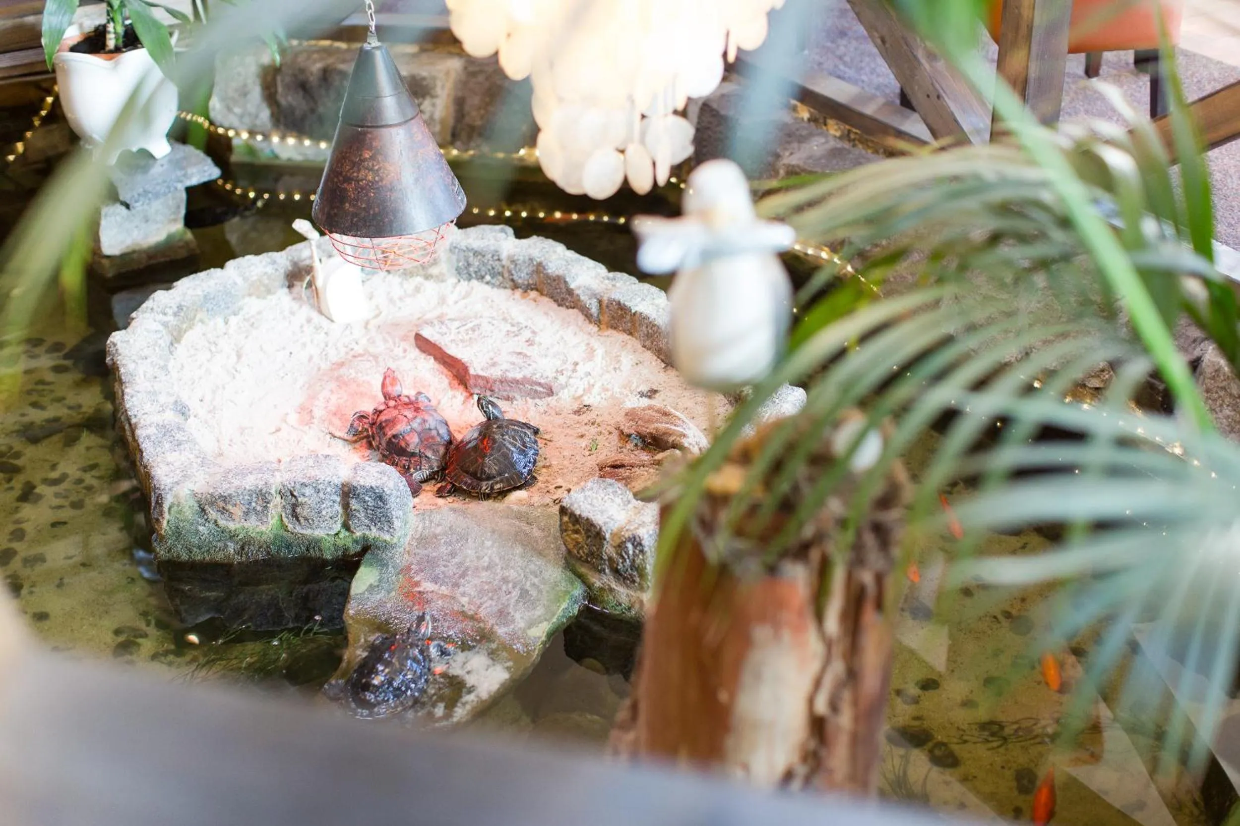 Other in Hotel Garni Am Deich Zingst