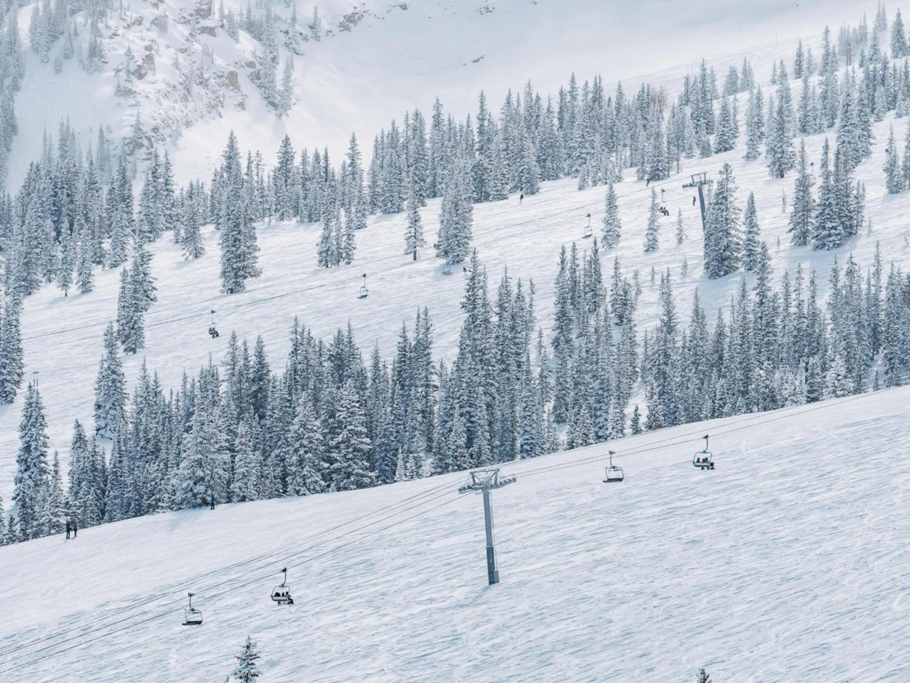 Lichenhearth - CoralTree Residence Collection