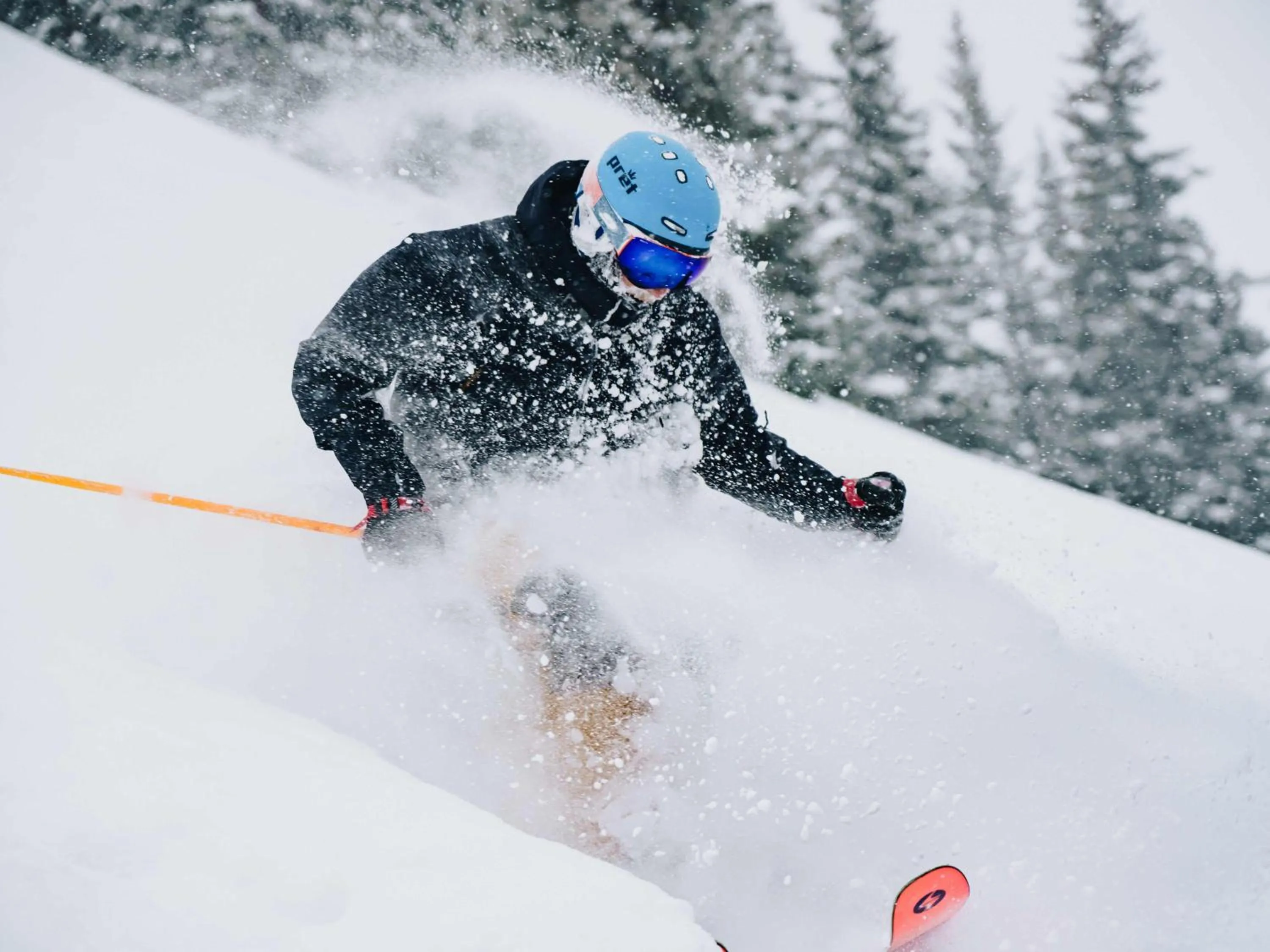 Lichenhearth - CoralTree Residence Collection