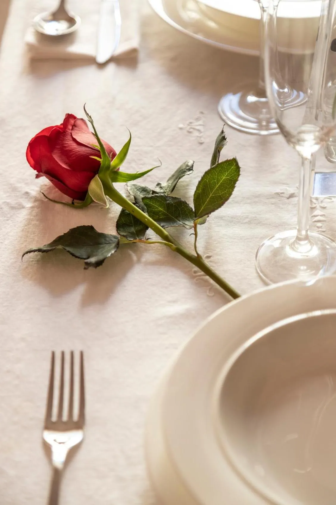 Food and drinks in Saint George's House Appartamenti & Spa