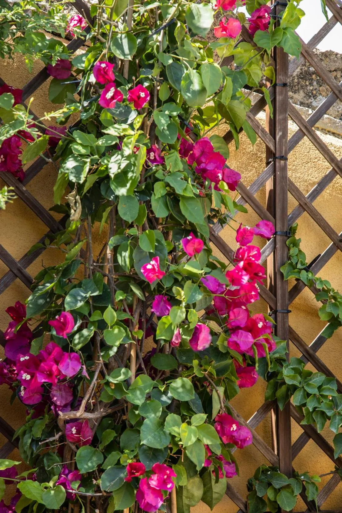 Balcony/Terrace in Saint George's House Appartamenti & Spa