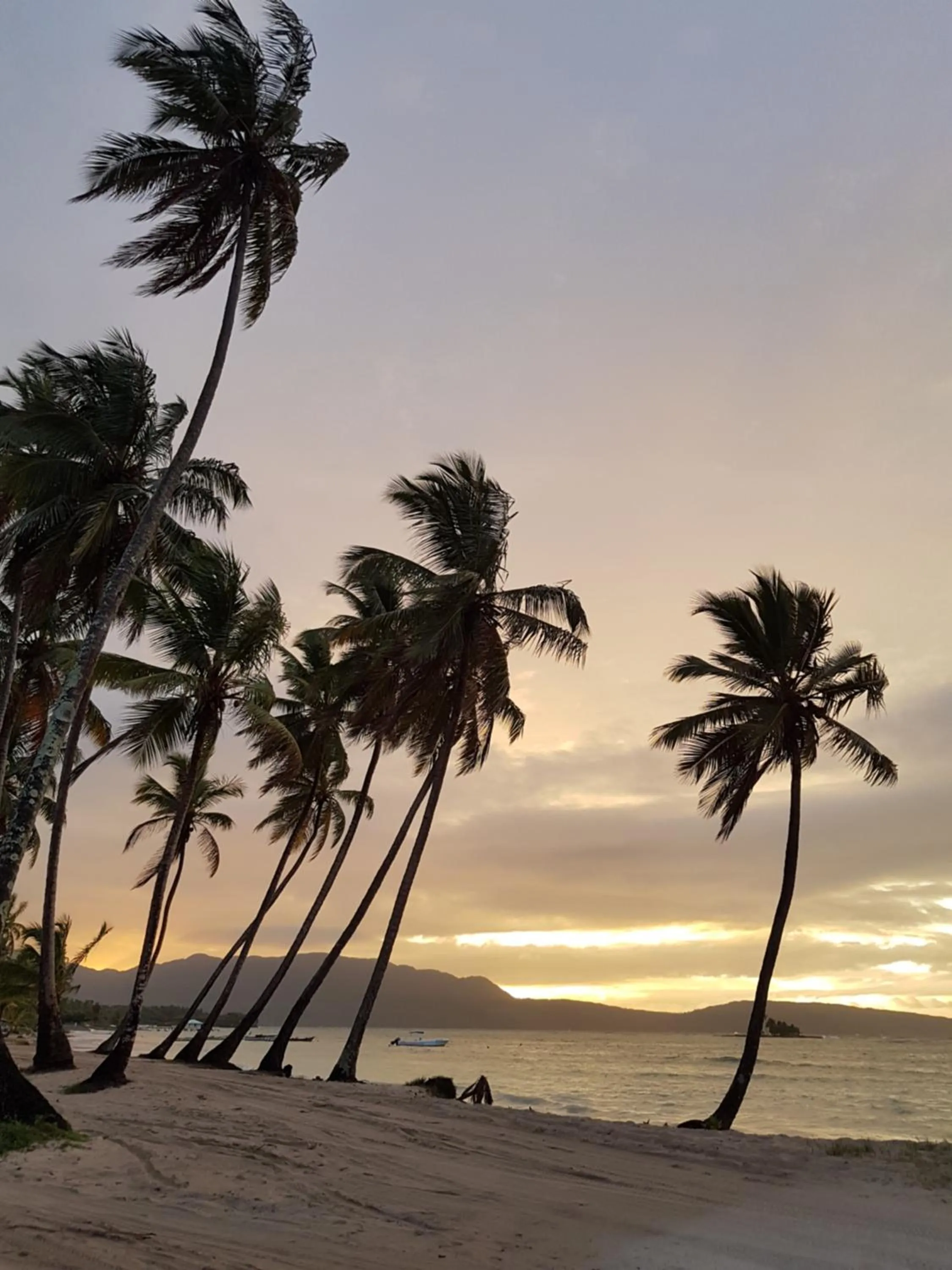 Beach in Hotel TODOBLANCO, Las Galeras, SAMANA