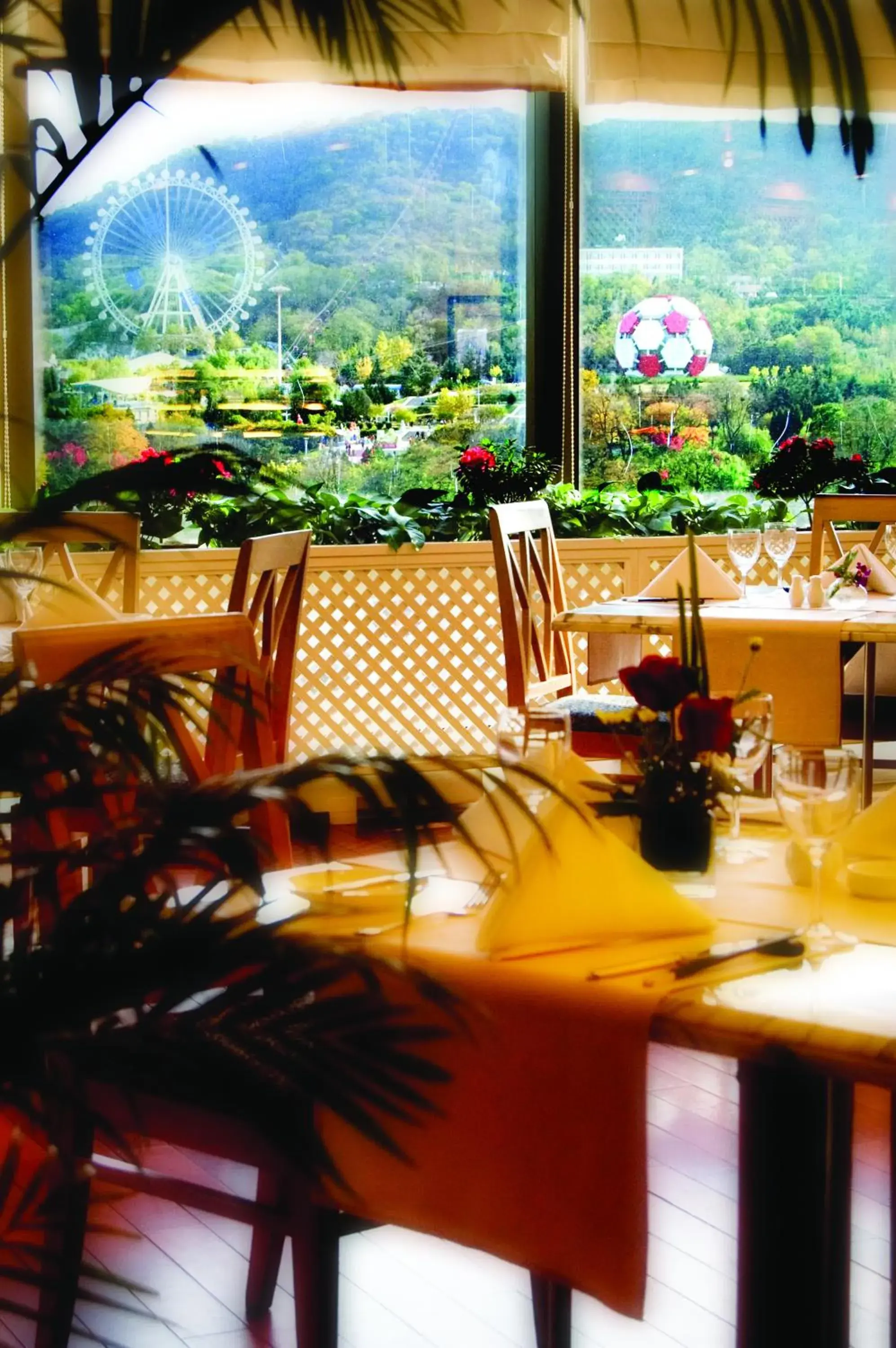 Restaurant/places to eat in Ruishi Hotel Dalian Restaurant/places to eat in Ruishi Hotel Dalian