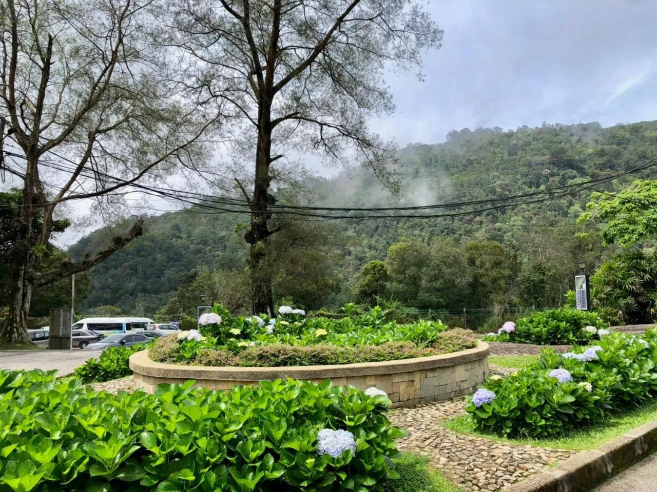 Garden in The Jerai Hill Resort