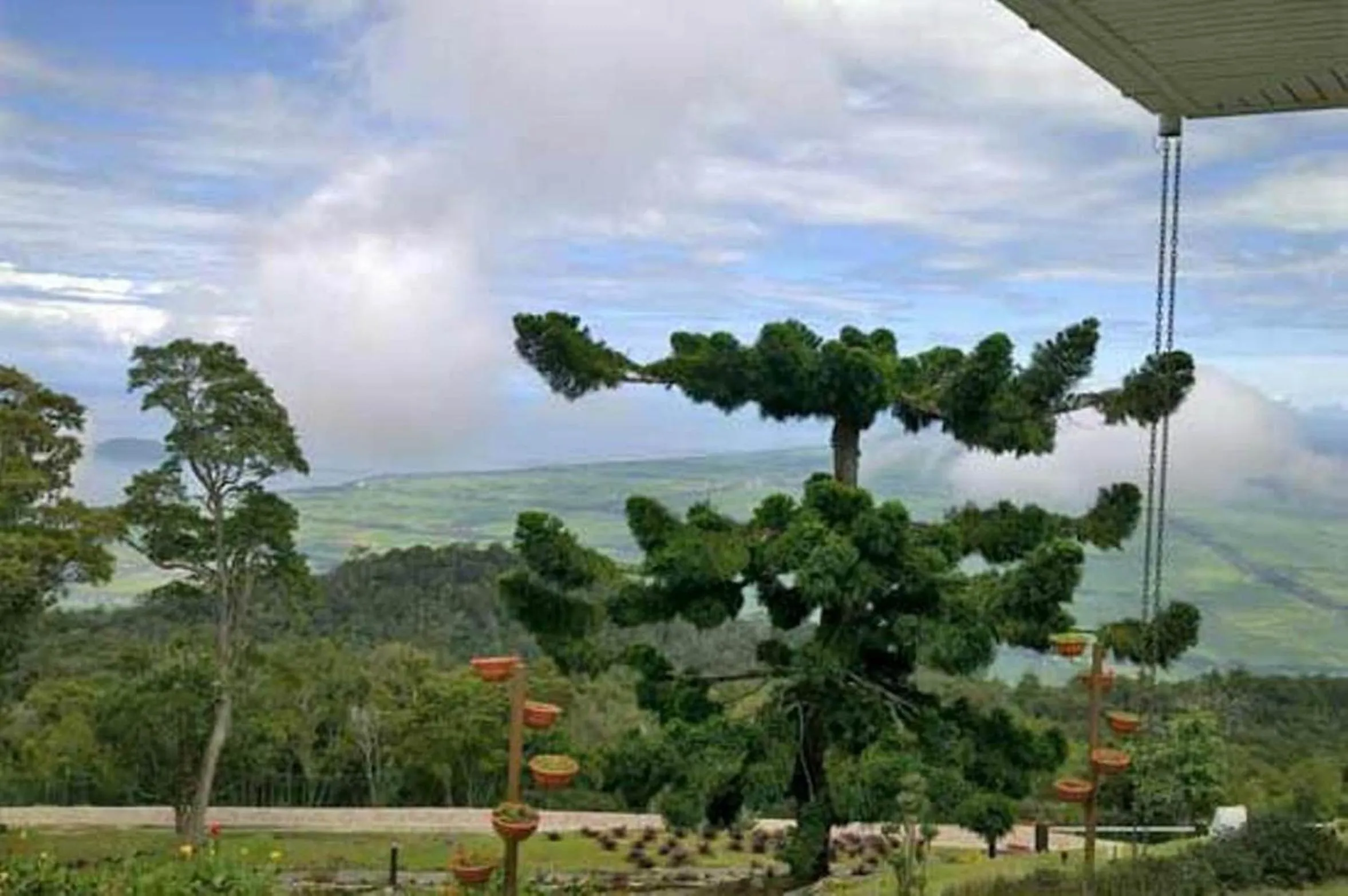 Natural landscape in The Jerai Hill Resort