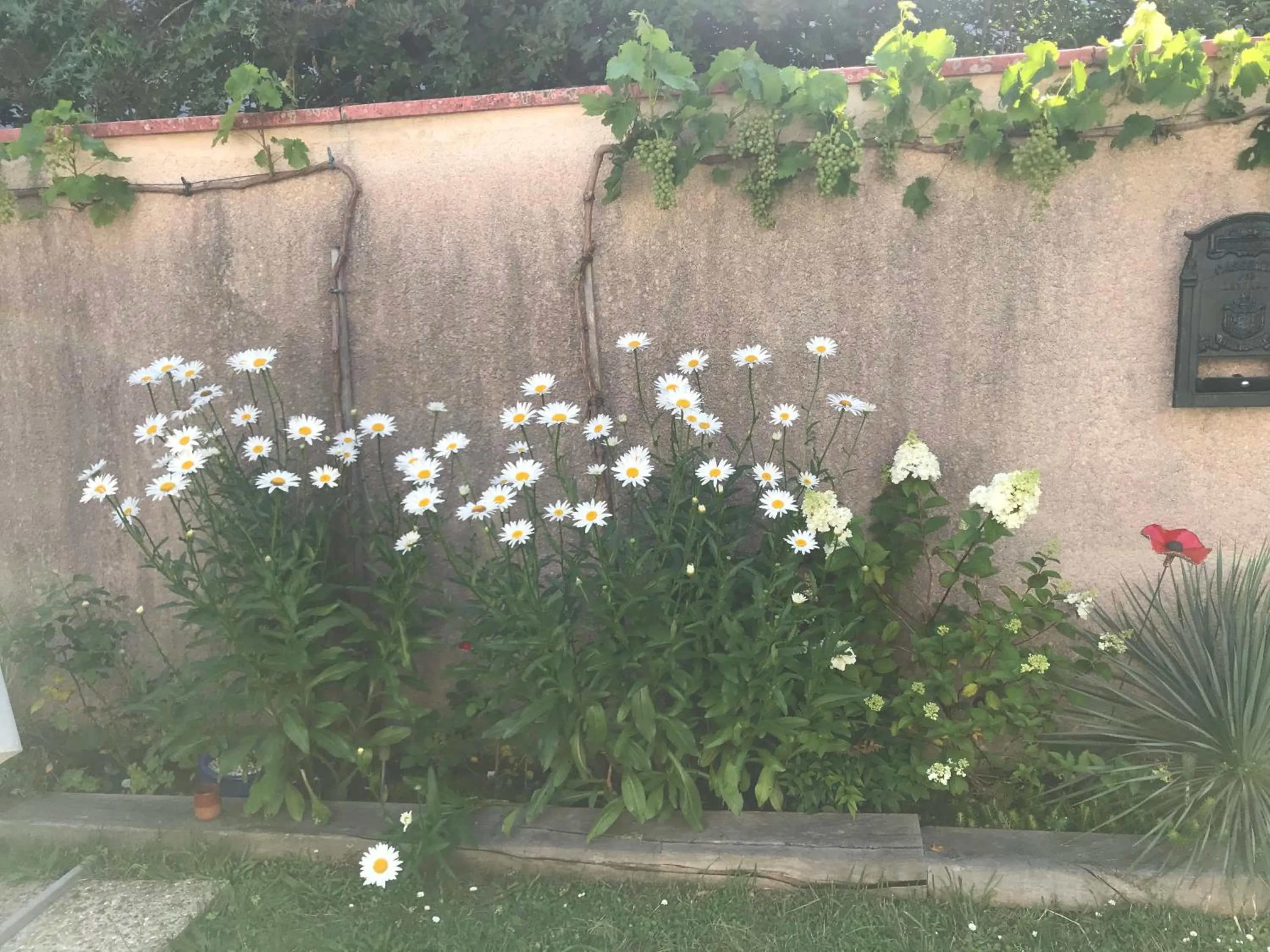 Garden in La Croix Blanche