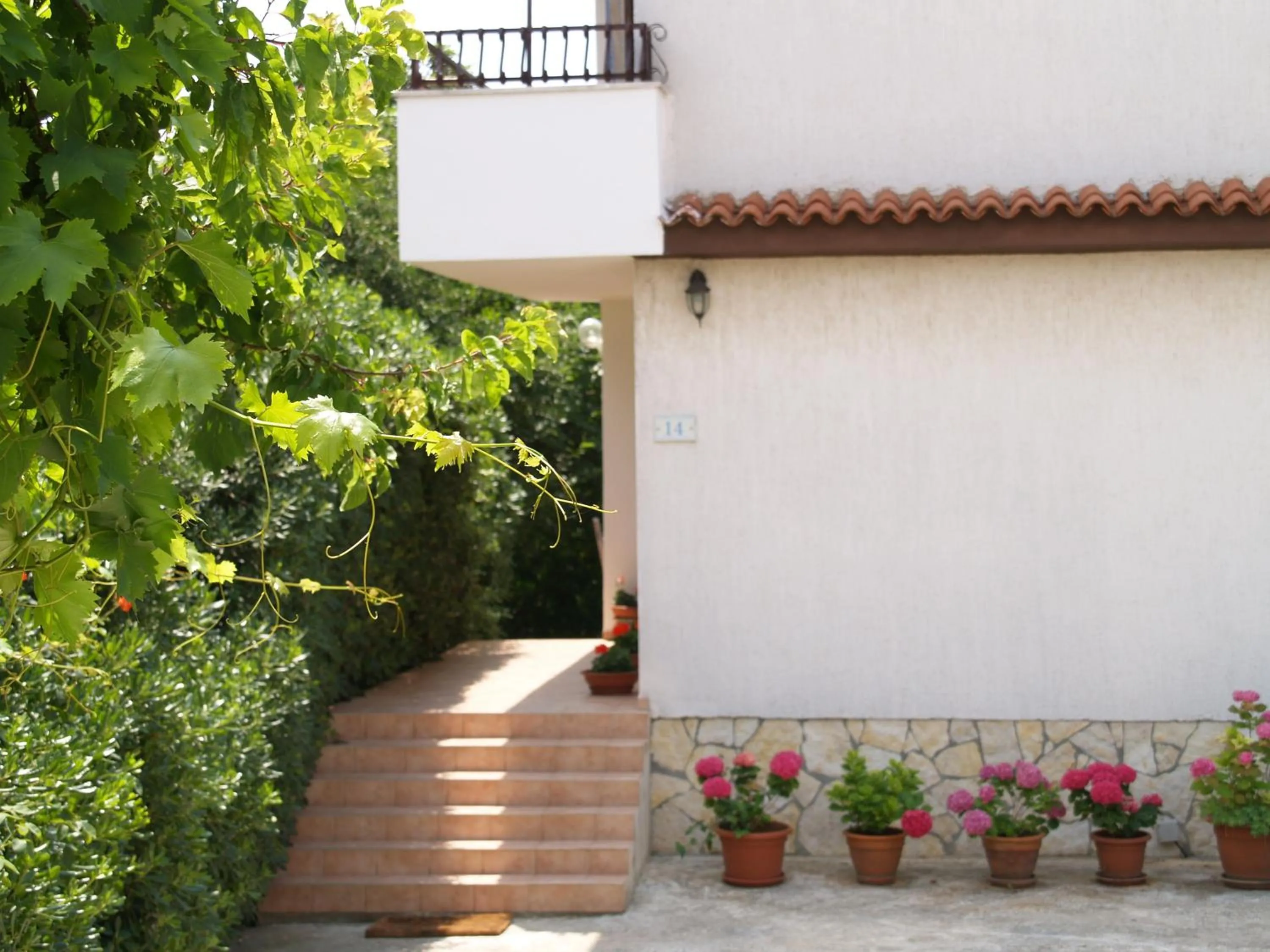 Property building in Apartments Frank