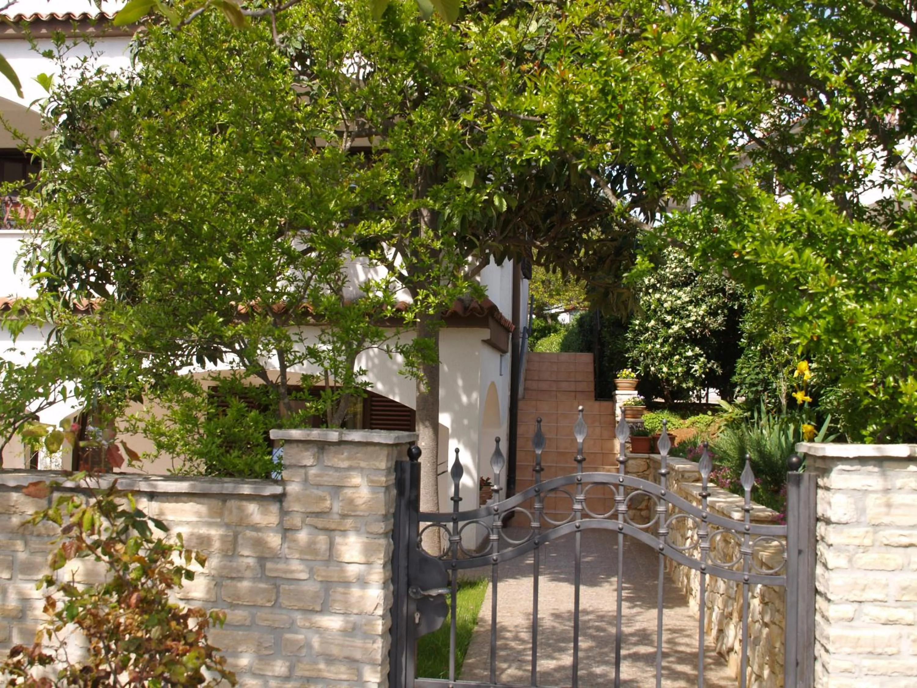 Property building in Apartments Frank