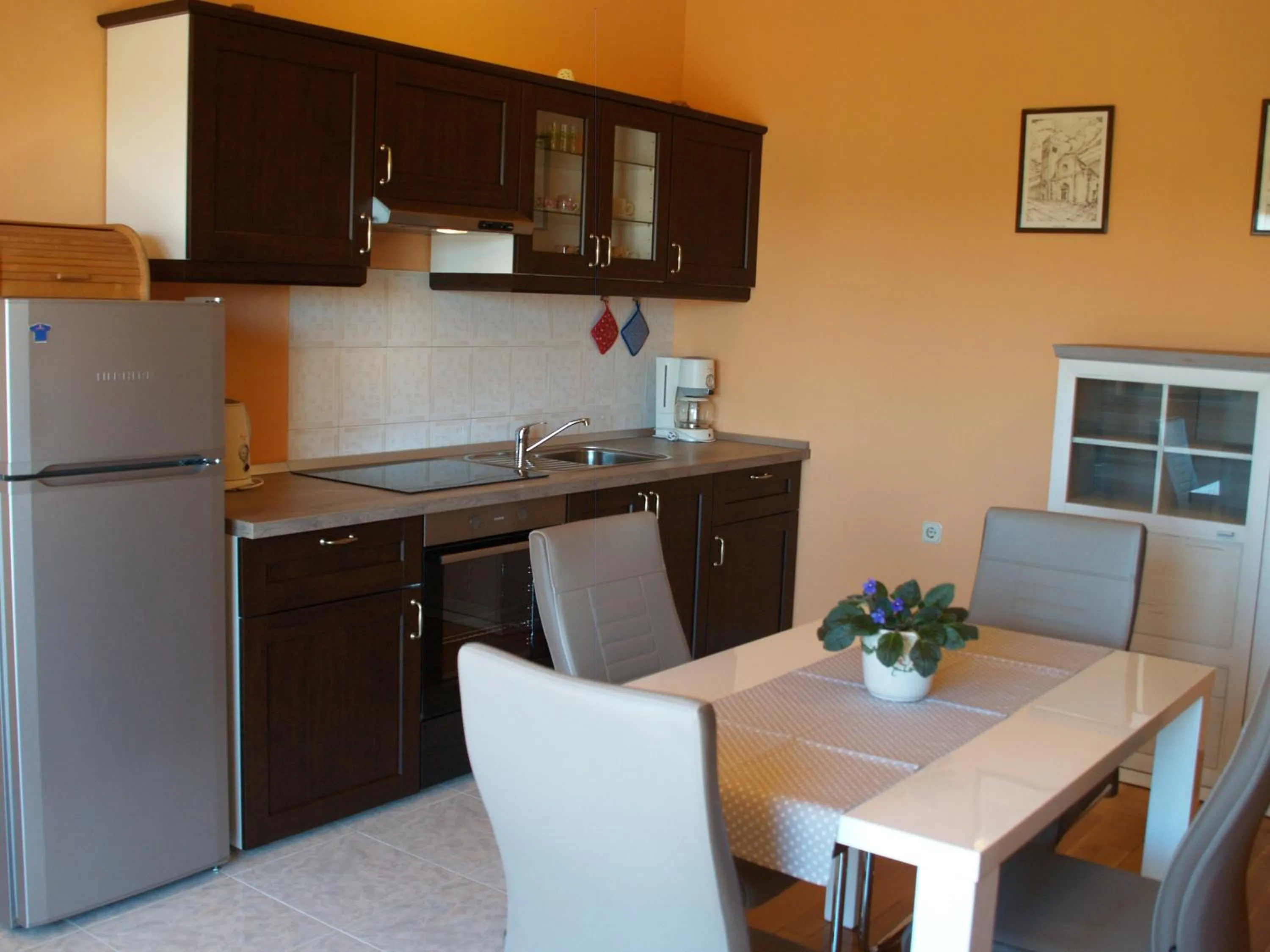 kitchen in Apartments Frank