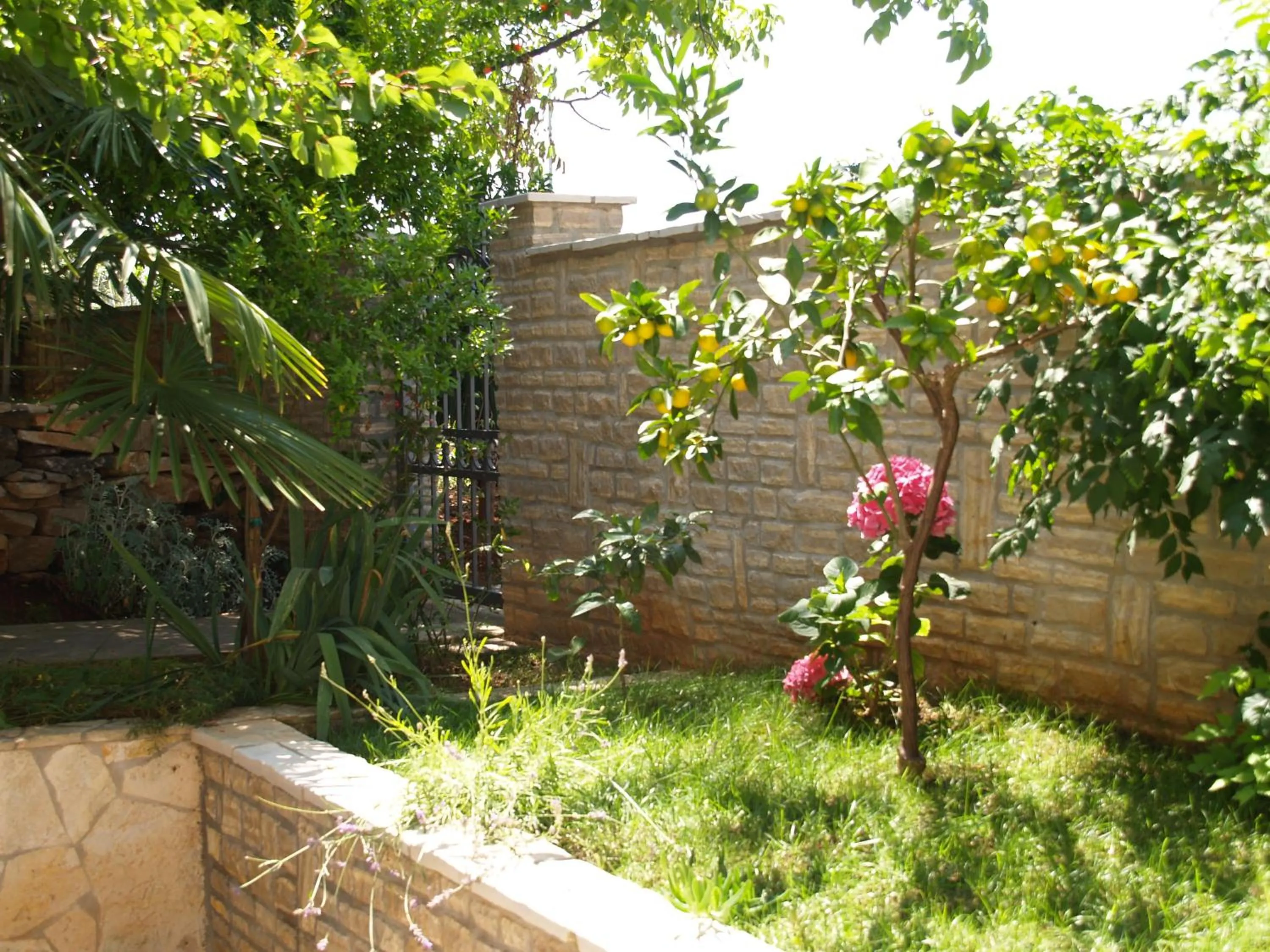 Garden in Apartments Frank