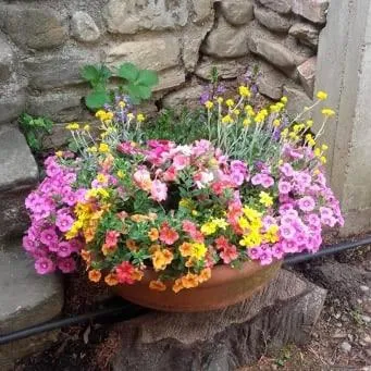 Garden in Il Podere della piazza