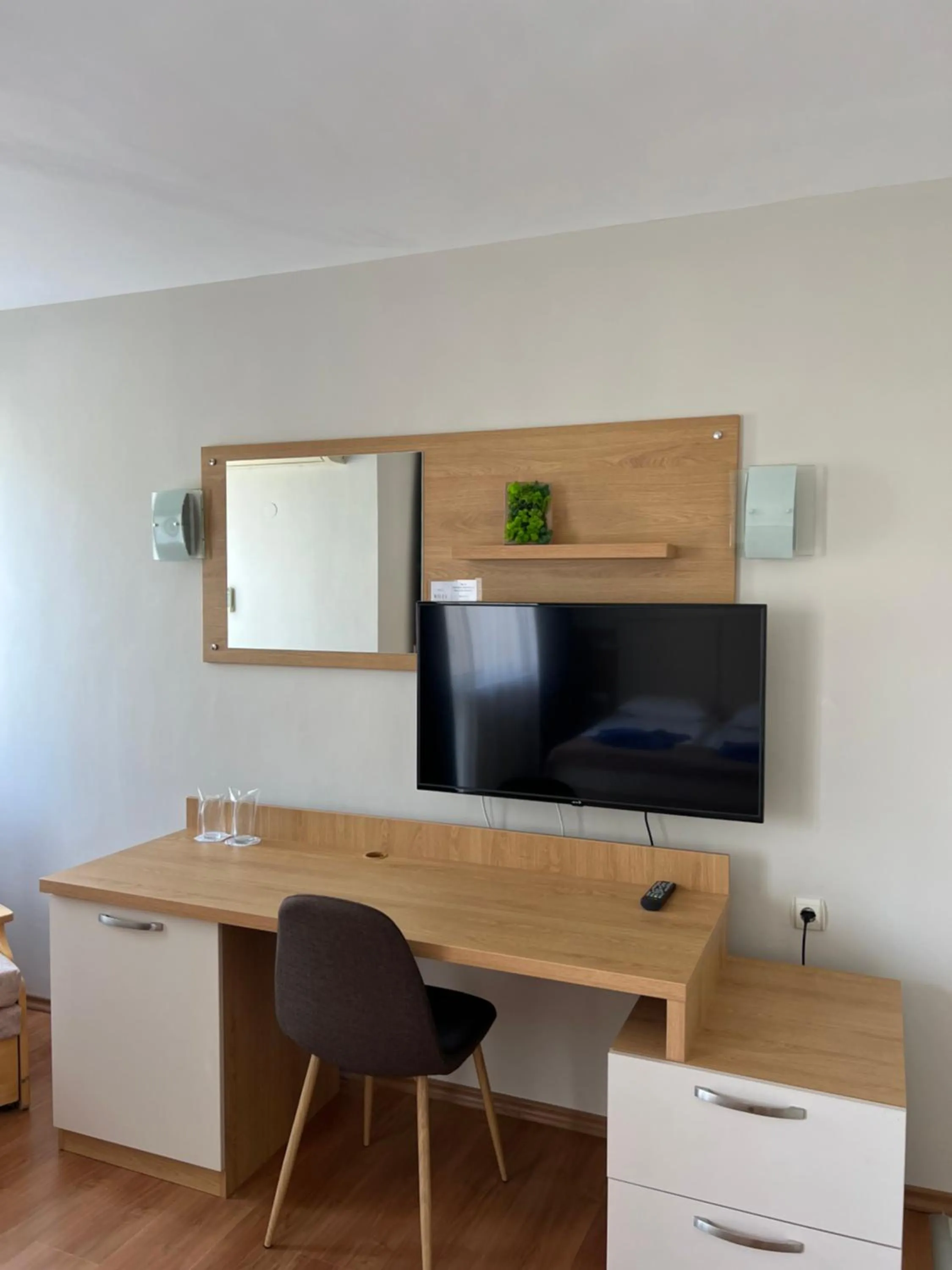 TV and multimedia in Family Hotel Milev