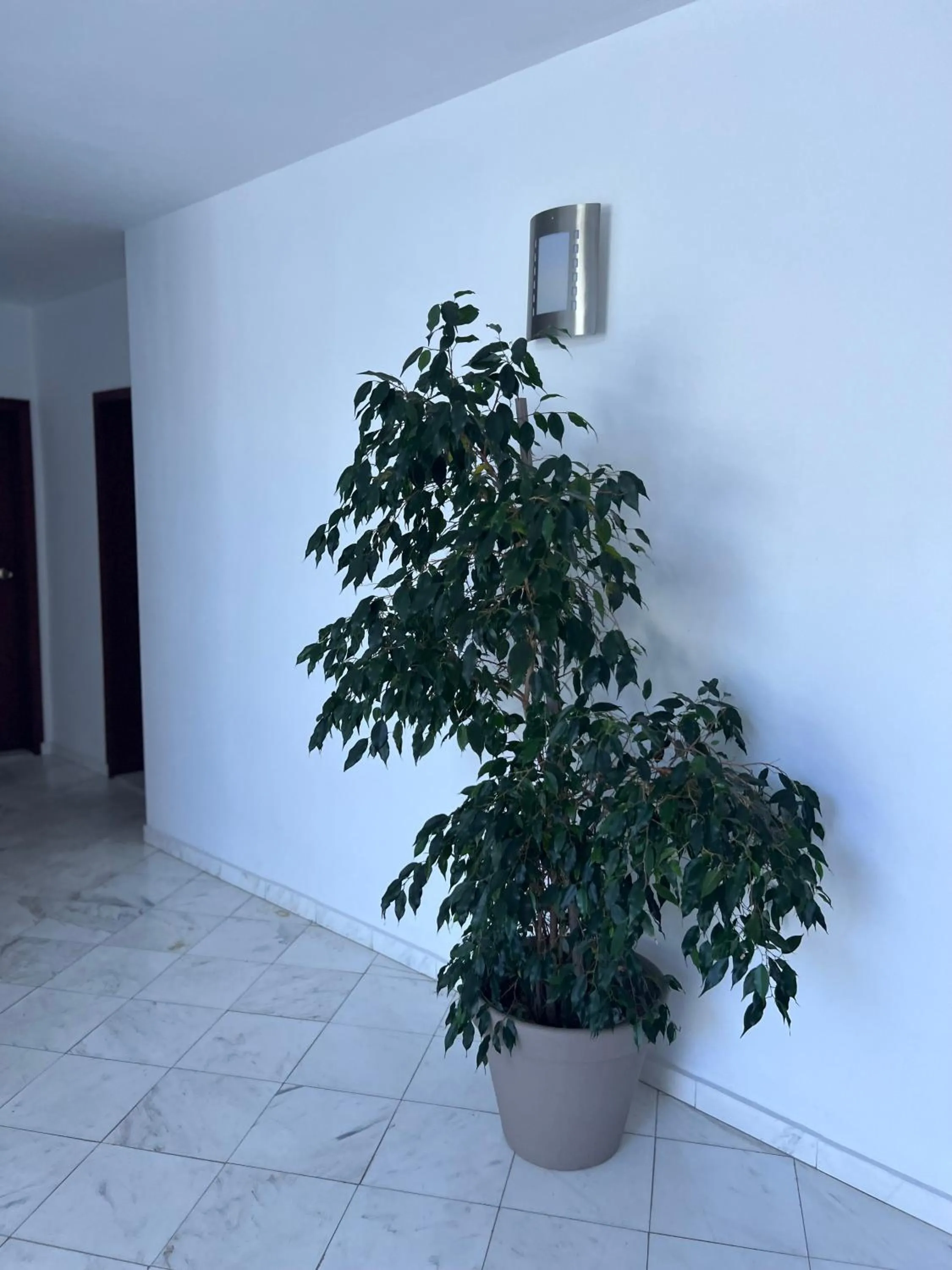 Property building in Family Hotel Milev