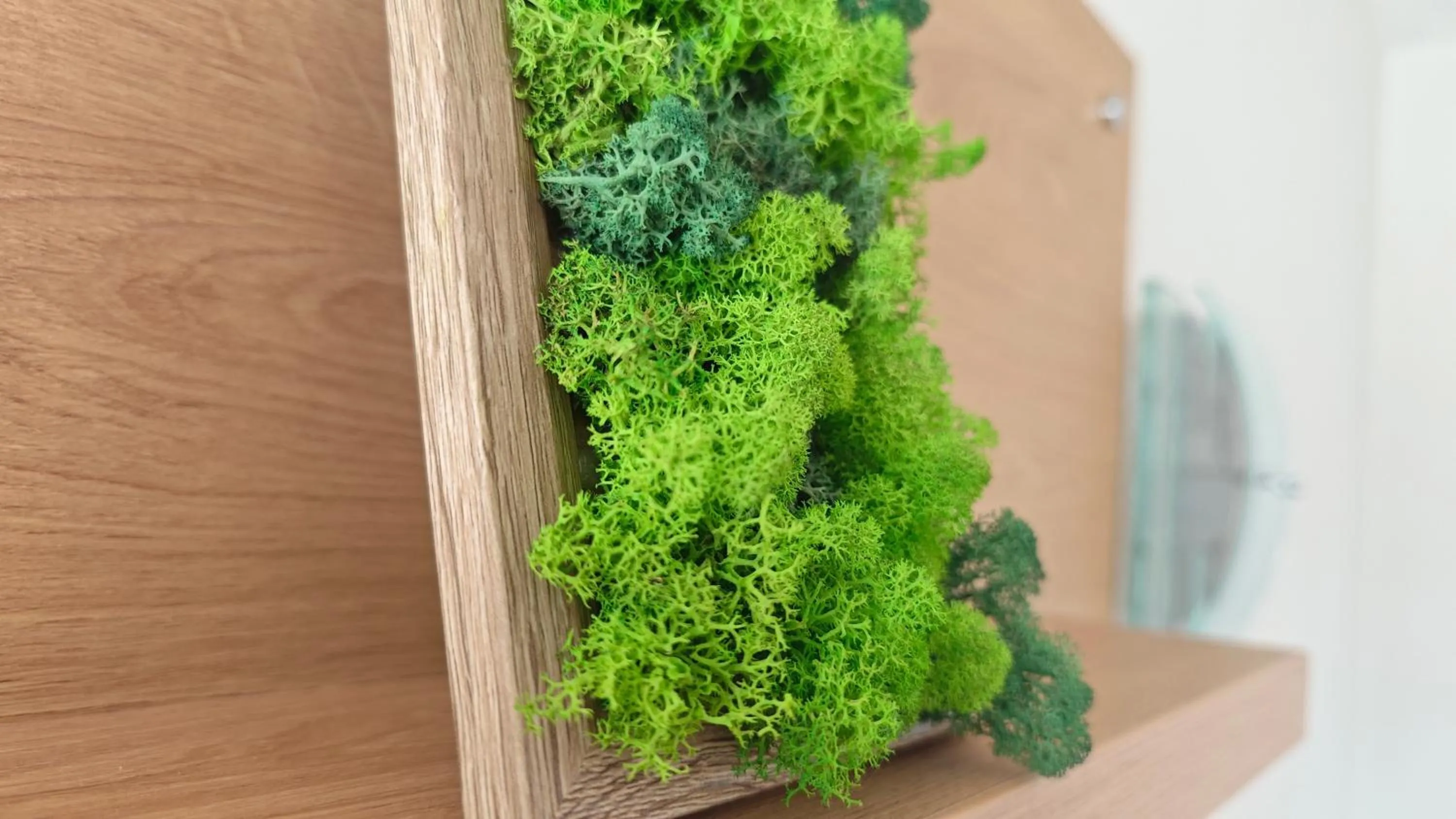 Decorative detail in Family Hotel Milev