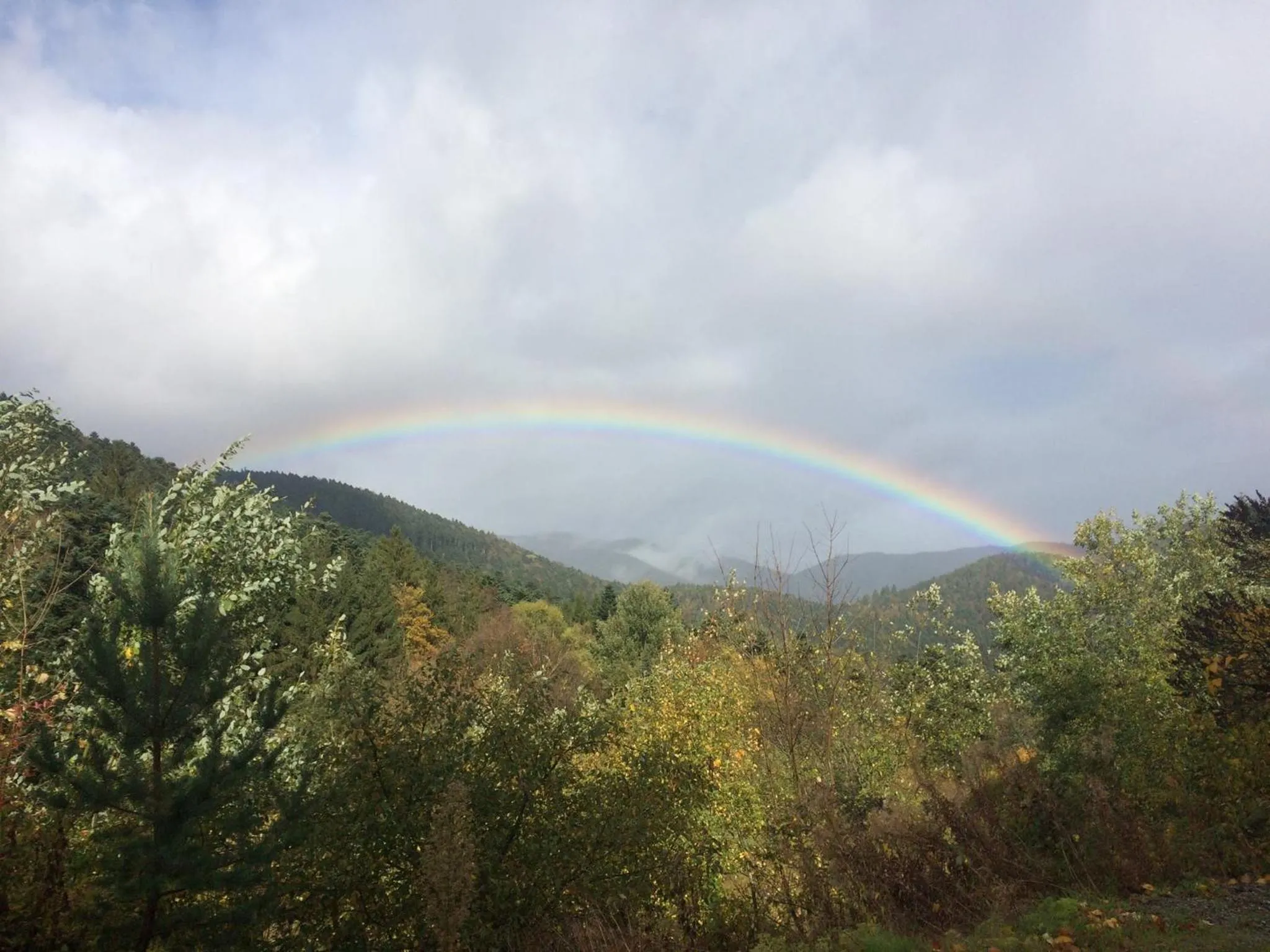 Mountain view in Hotel-Spa & Restaurant Logis Domaine Langmatt