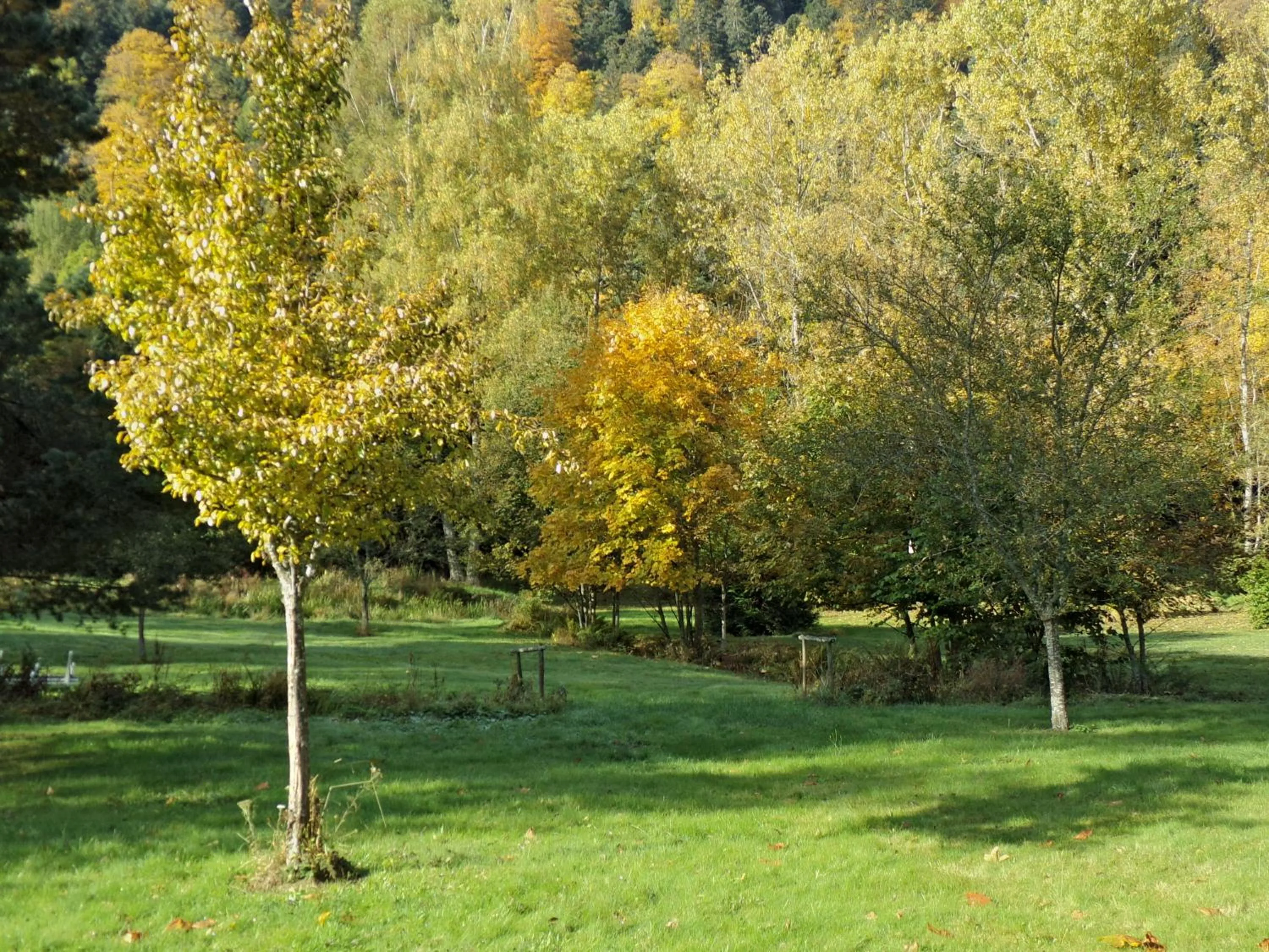 Garden in Hotel-Spa & Restaurant Logis Domaine Langmatt