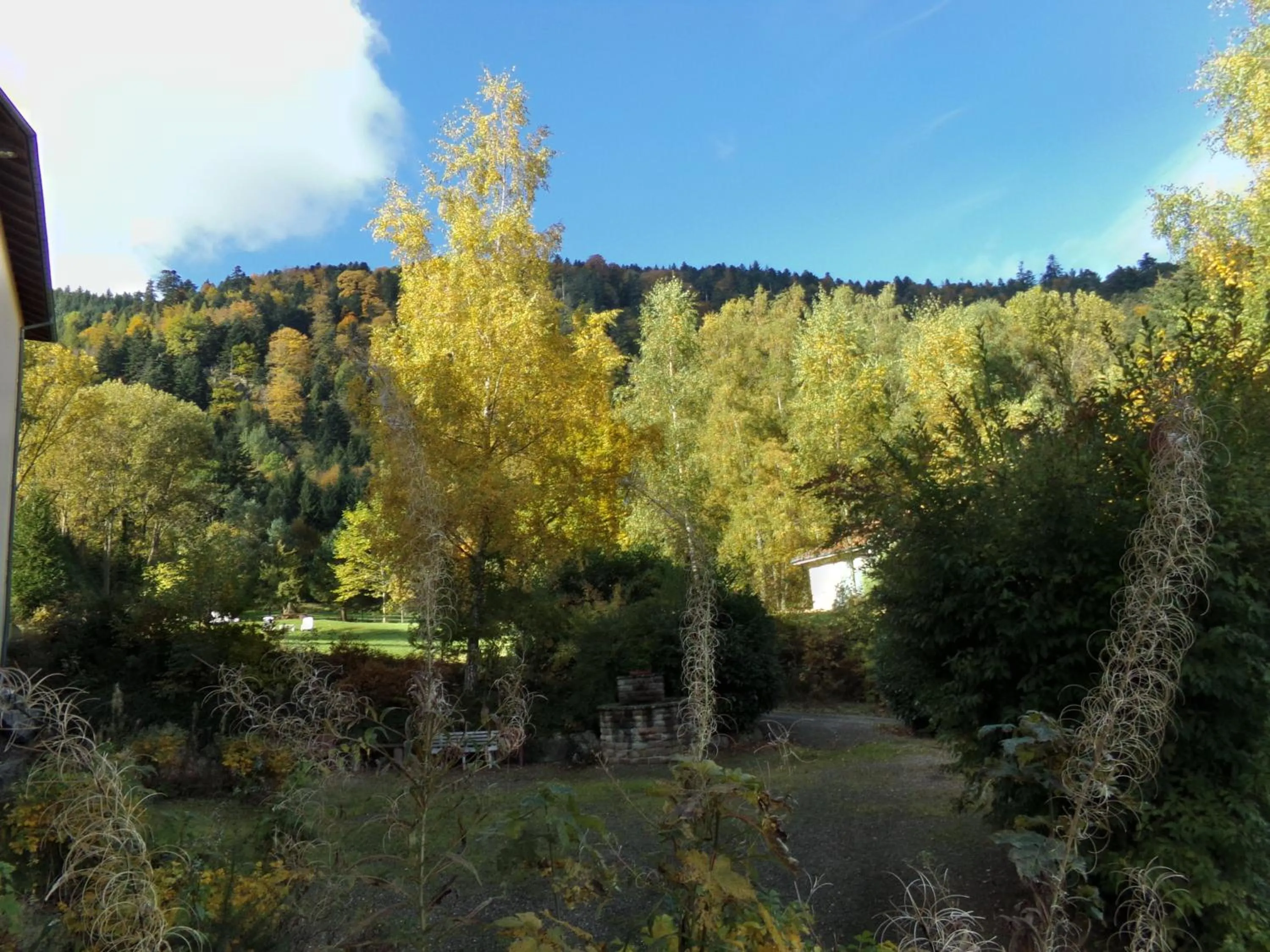 Garden in Hotel-Spa & Restaurant Logis Domaine Langmatt