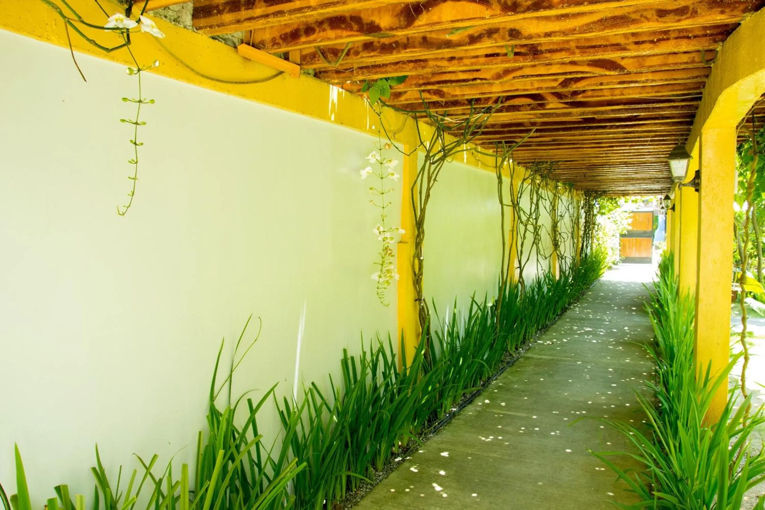 Garden in Greenyard Inn