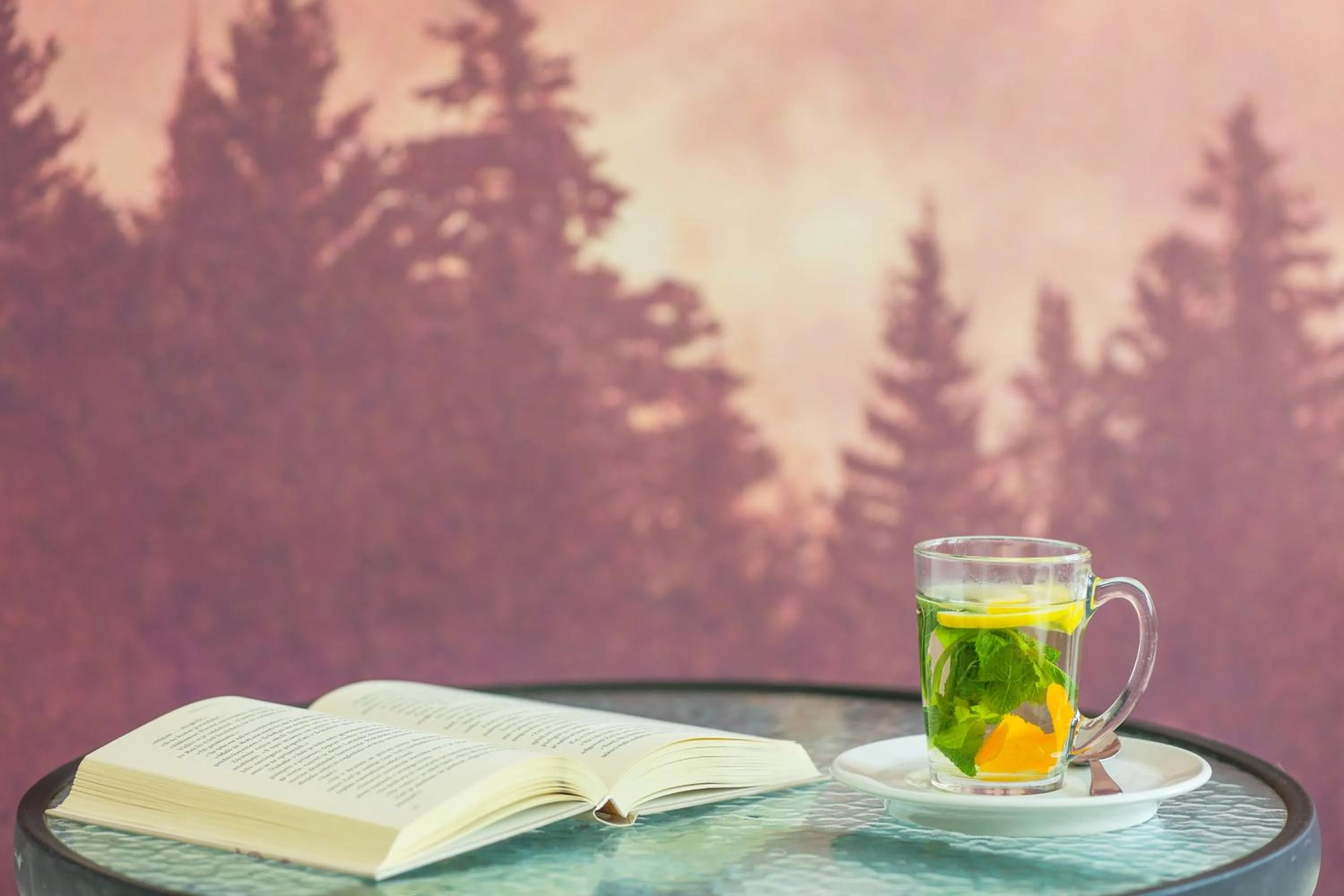 Sauna in Hotel Jelka Pokljuka